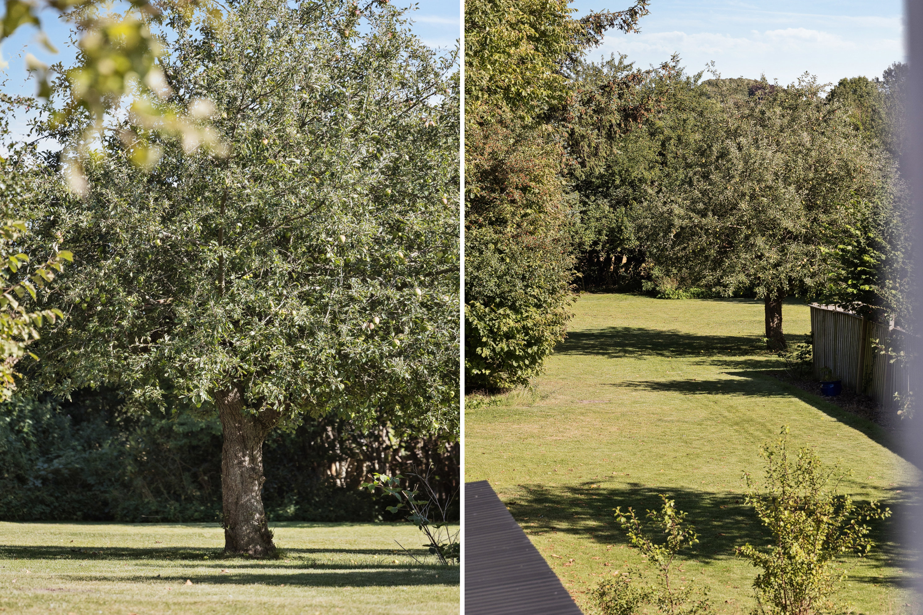 Miniaturebillede 1: have. Billede af Næstvedvej 215, 4100 Ringsted