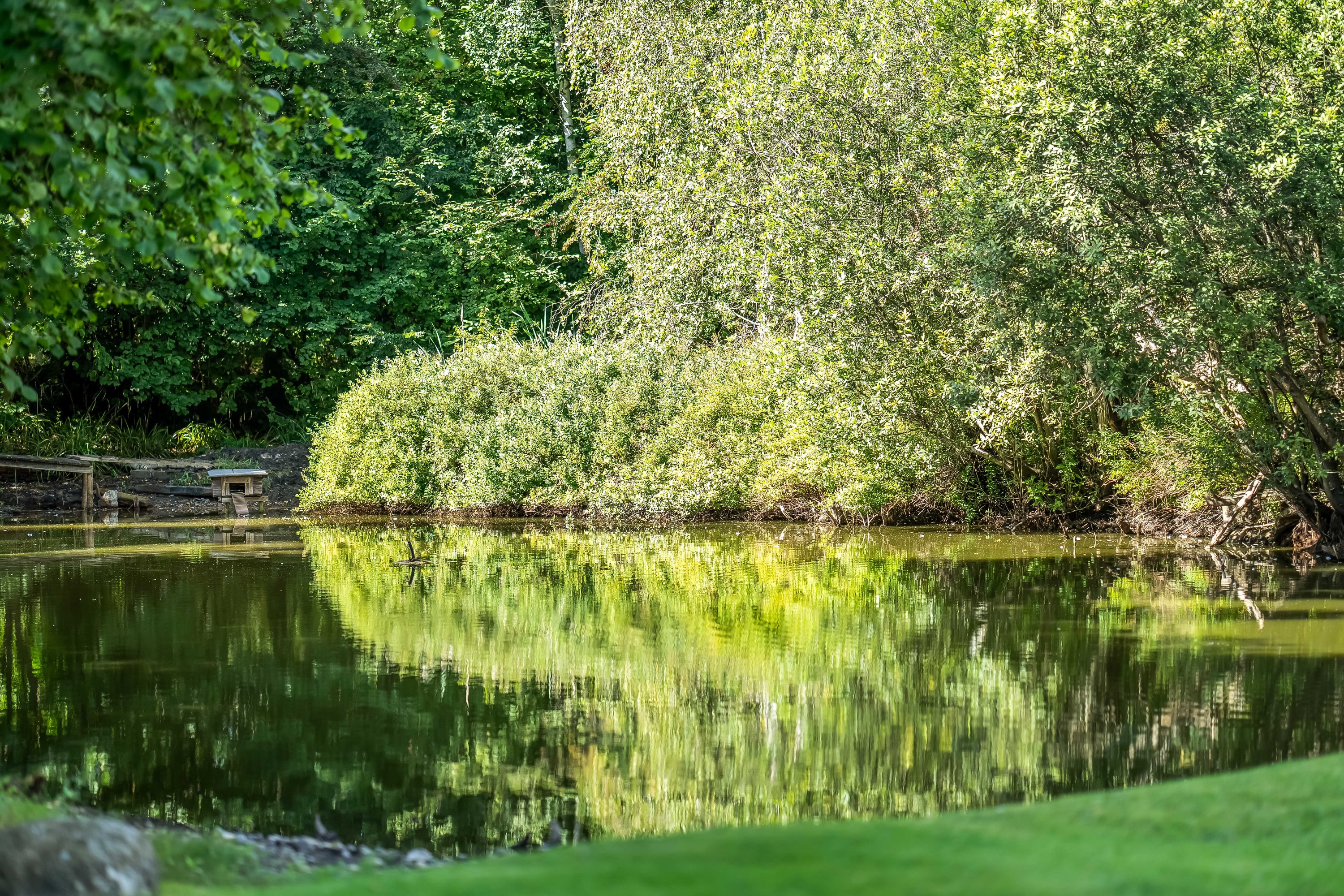 Fremhævet andet billede i fuldskærmstilstand. Billede af Nejedevej 9, Tulstrup, 3400 Hillerød