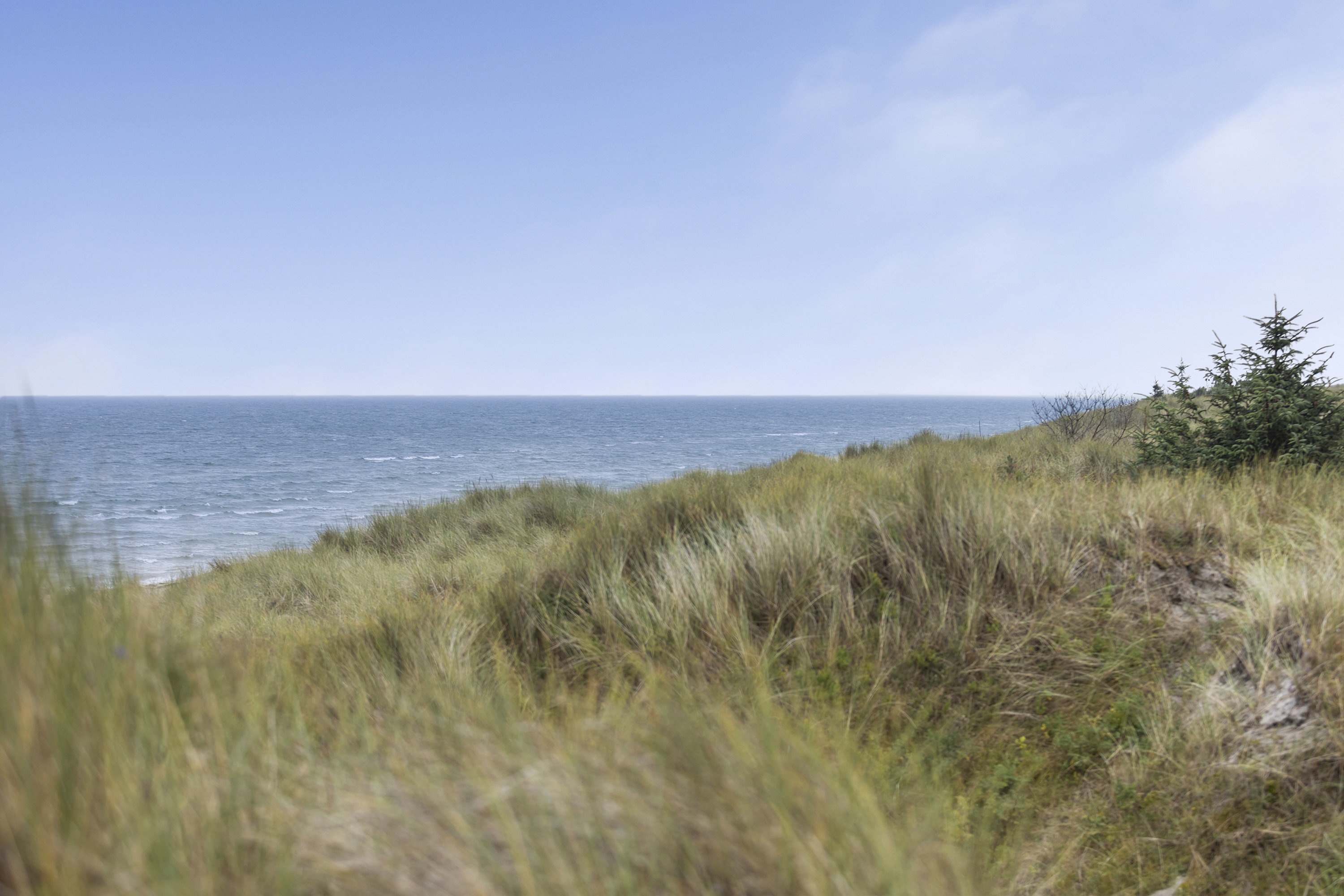 Miniaturebillede 2: udsigt. Billede af Estersvej 6, Lyngså, 9300 Sæby