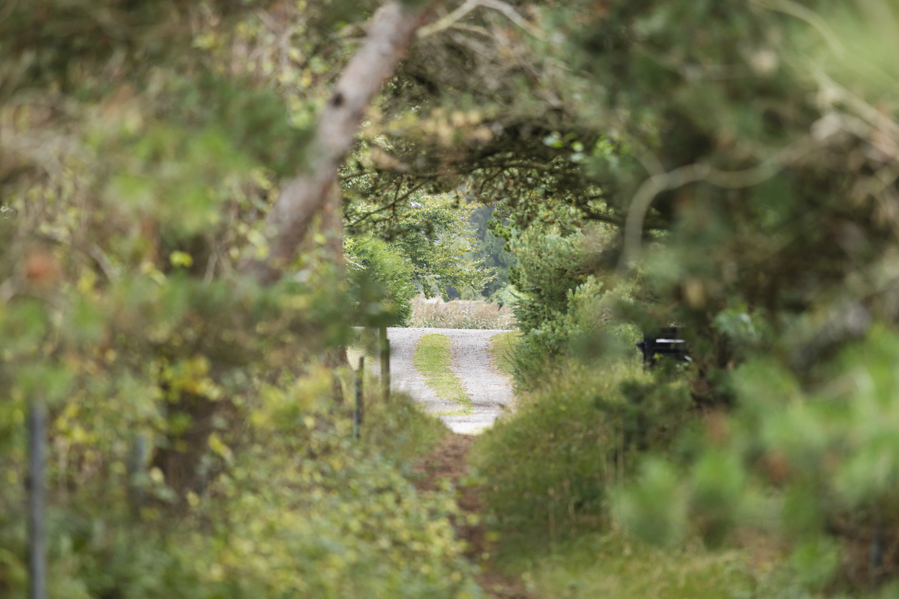 Fremhævet have billede i fuldskærmstilstand. Billede af Estersvej 6, Lyngså, 9300 Sæby