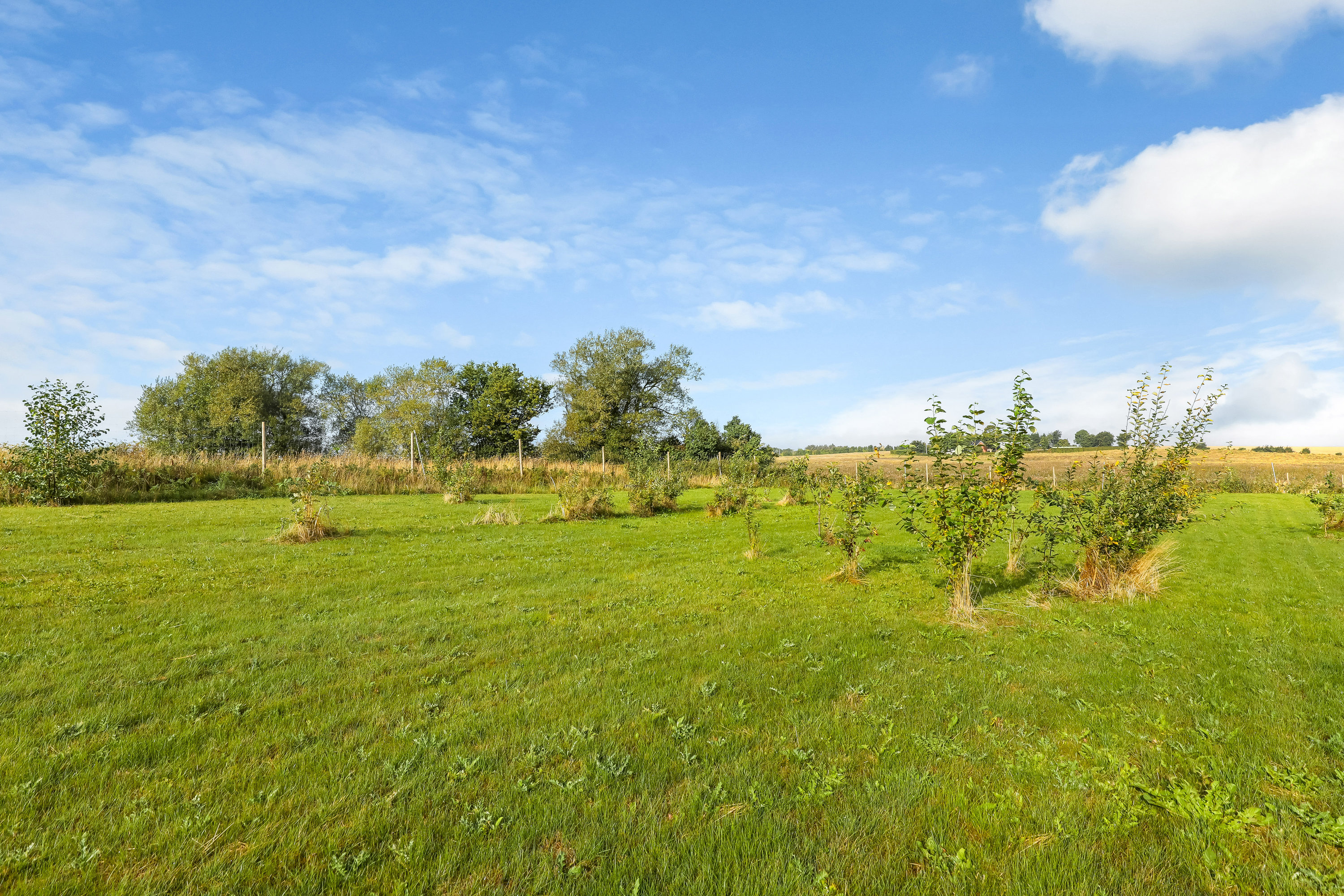 Fremhævet område billede i fuldskærmstilstand. Billede af Krajbjergvej 5, Vorre, 8541 Skødstrup