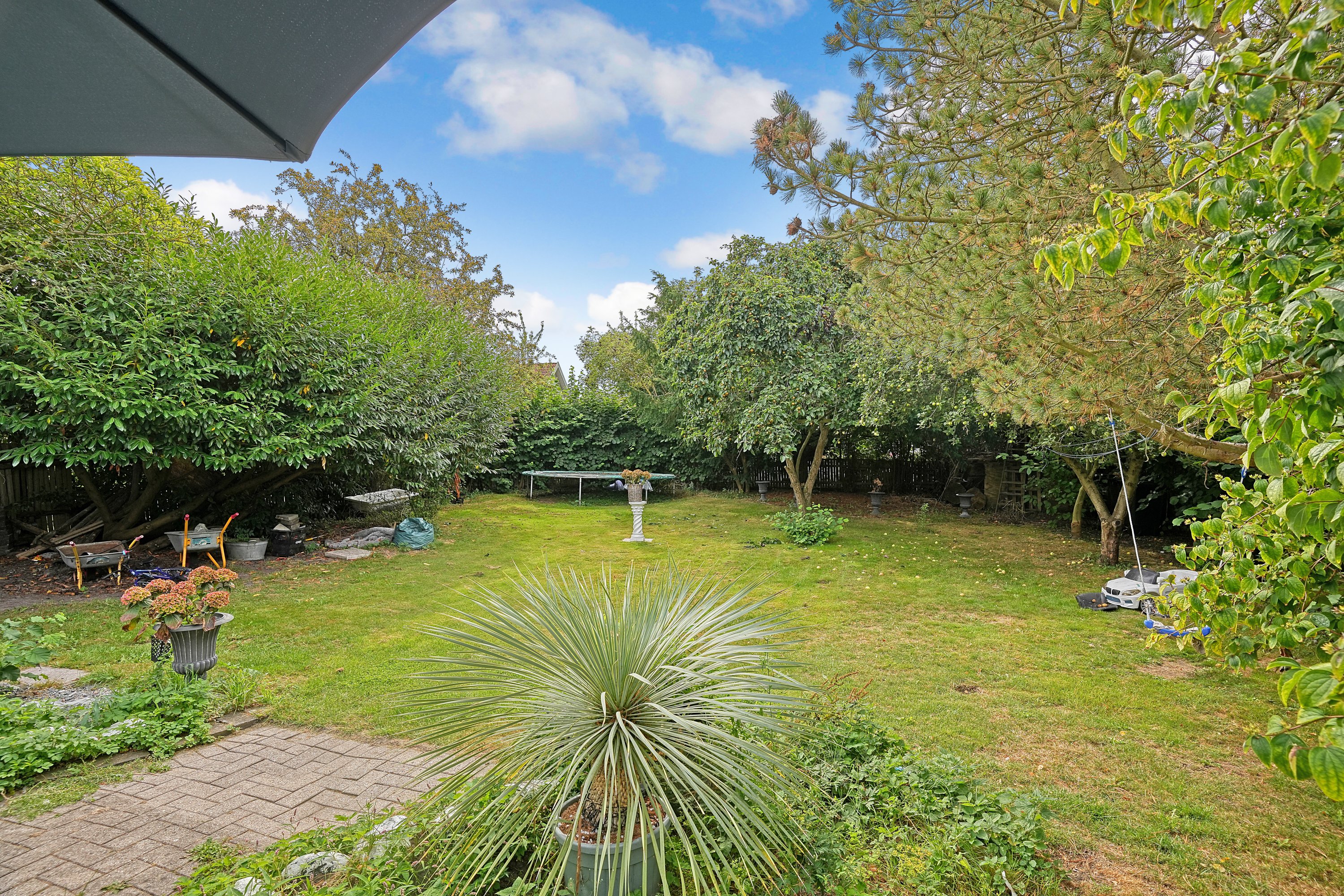 Miniaturebillede 2: have. Billede af Bøgevænget 11, 2680 Solrød Strand