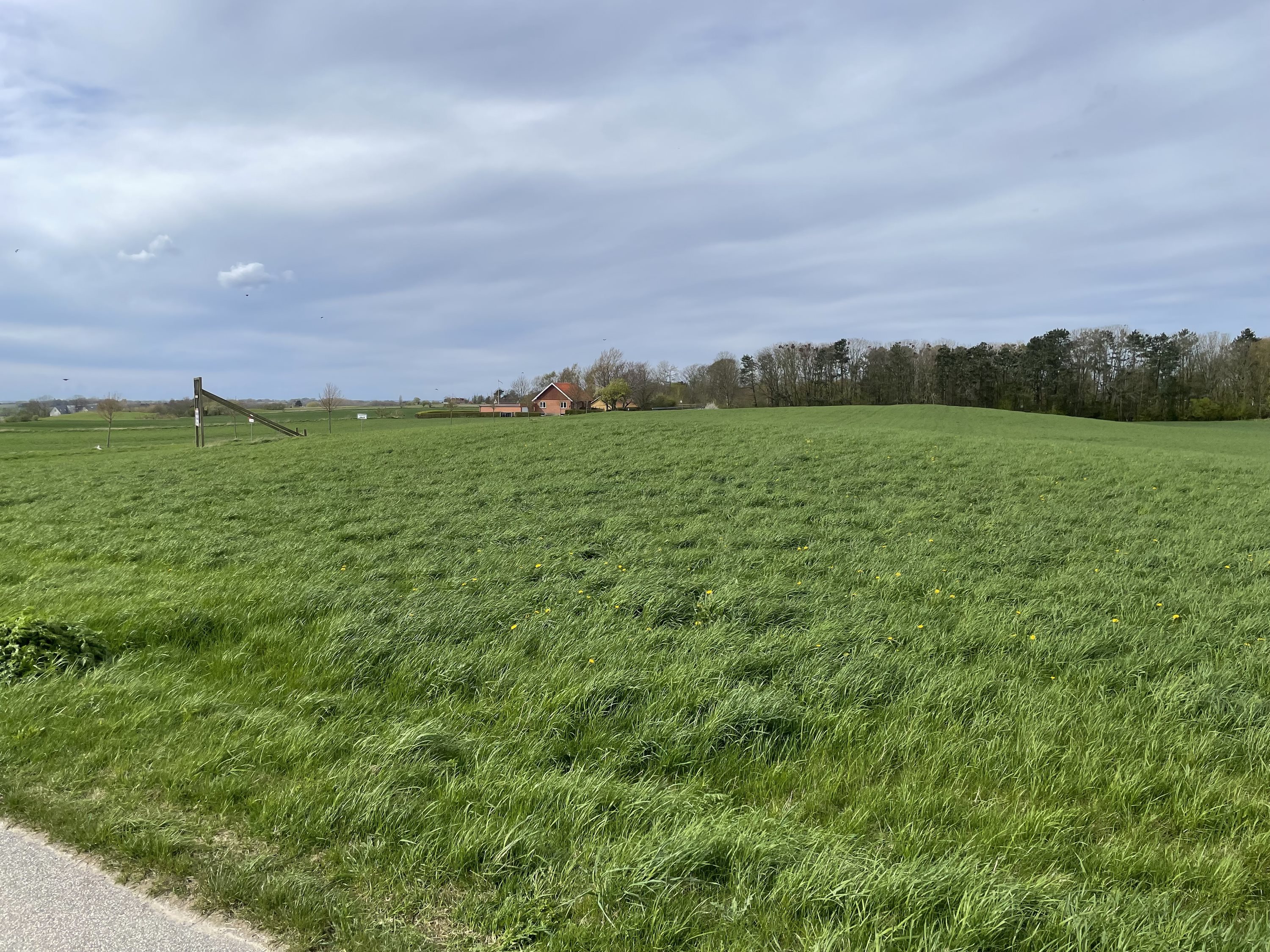 Miniaturebillede 1: . Billede af Eskebjerg Bakker 1, 4593 Eskebjerg