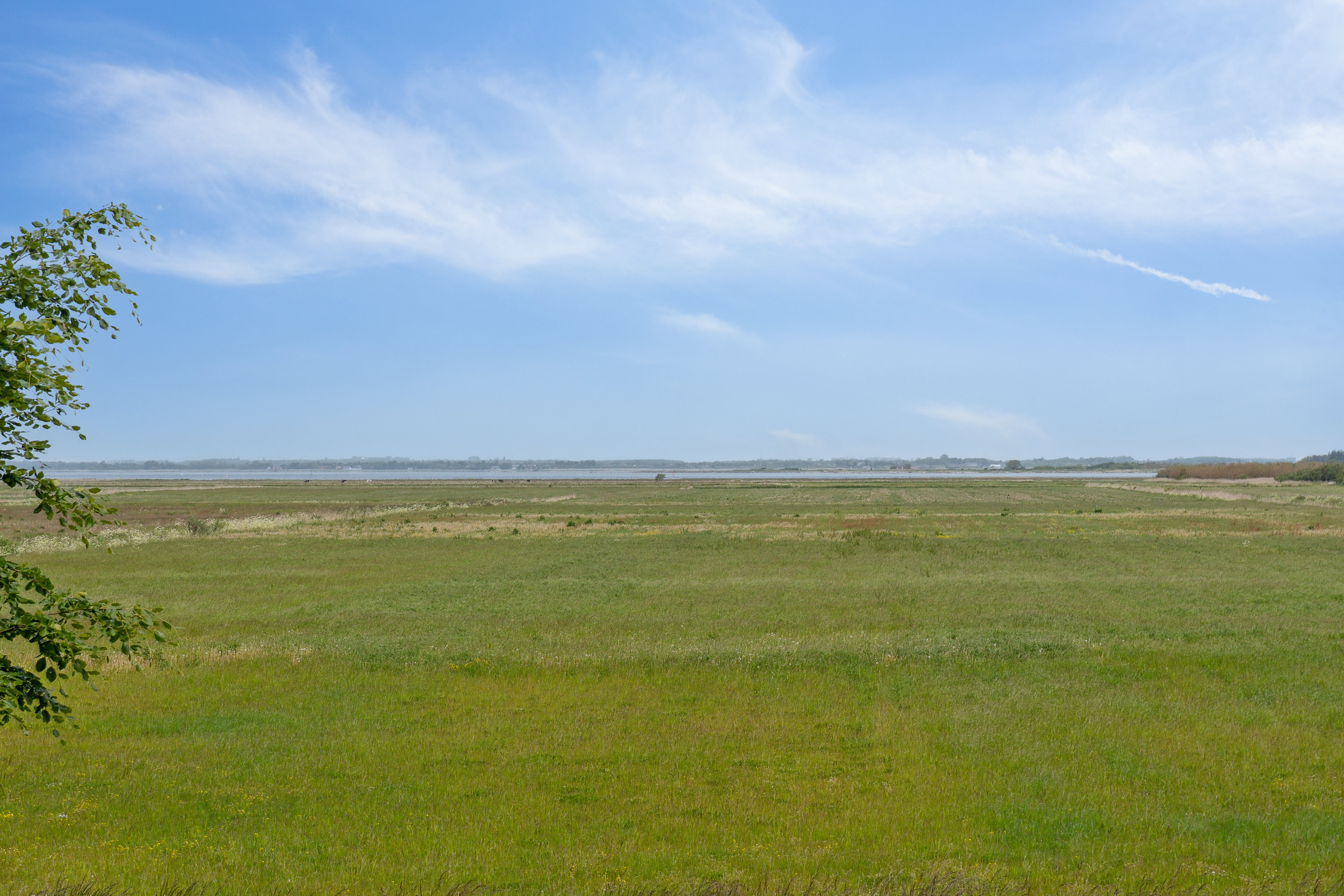 Fremhævet udsigt billede i fuldskærmstilstand. Billede af Nørholmsvej 207, 9000 Aalborg