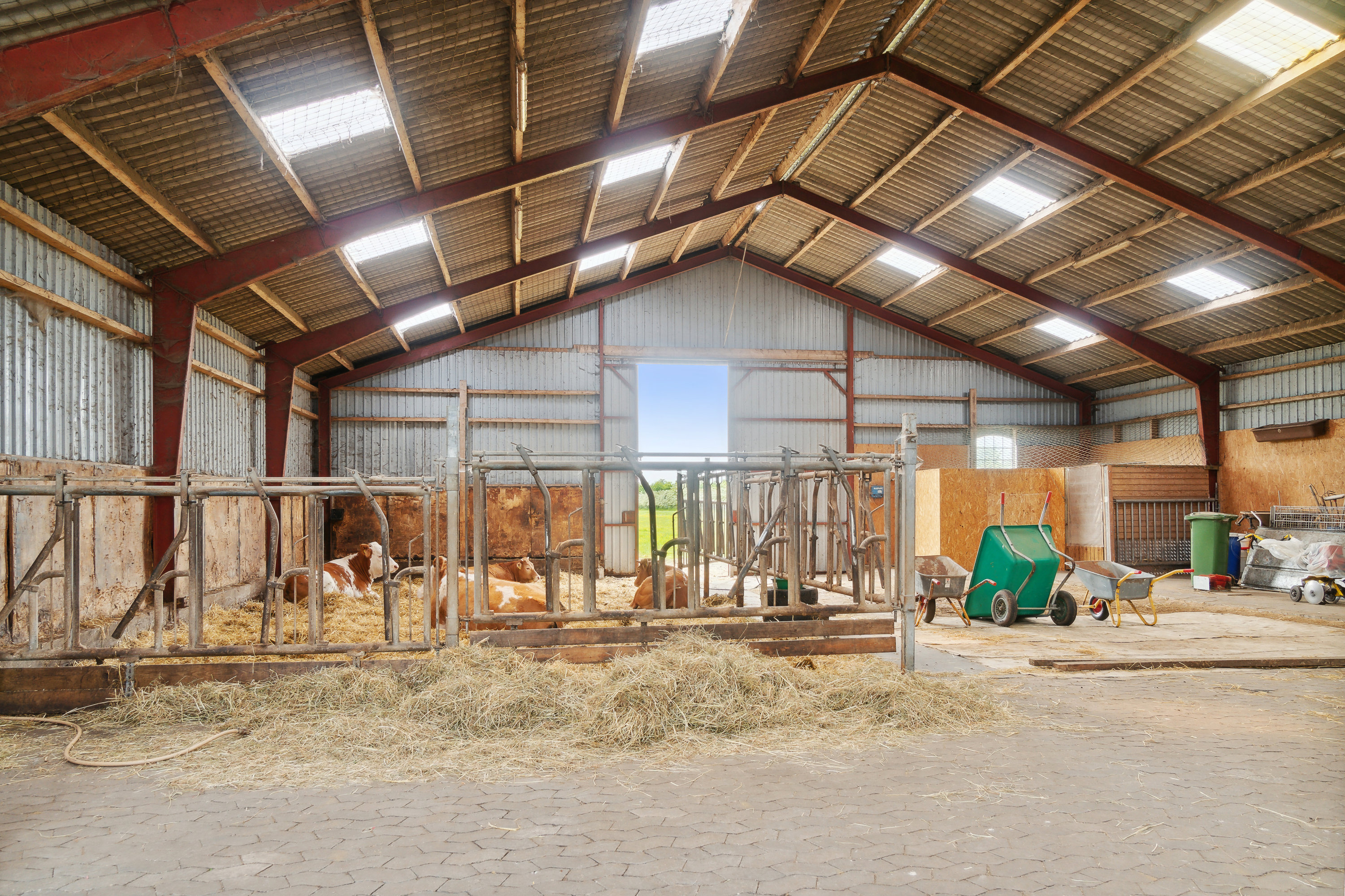 Fremhævet stald billede i fuldskærmstilstand. Billede af Nørholmsvej 207, 9000 Aalborg