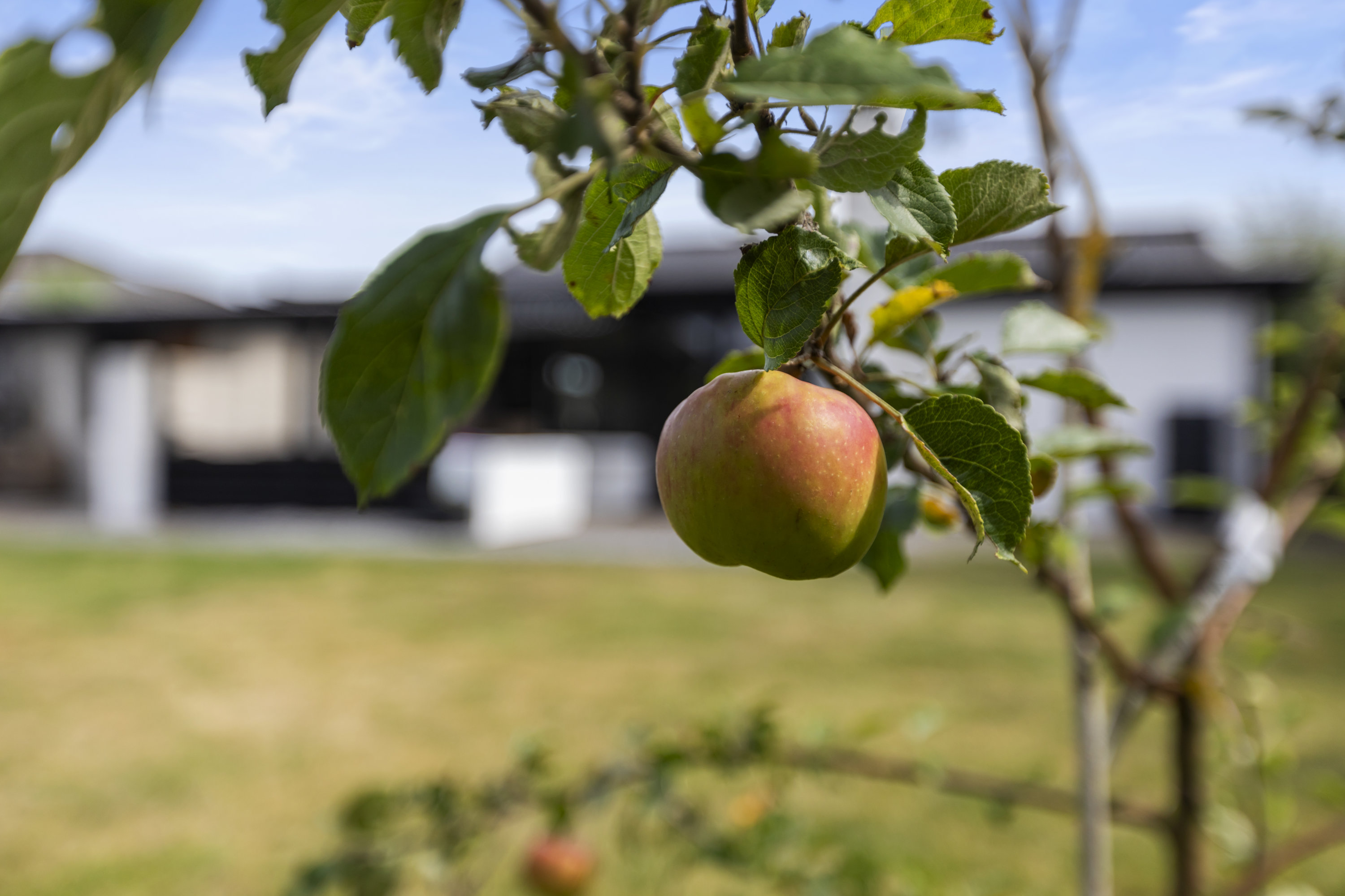 Fremhævet  billede i fuldskærmstilstand. Billede af Helmond Alle 30, 2791 Dragør