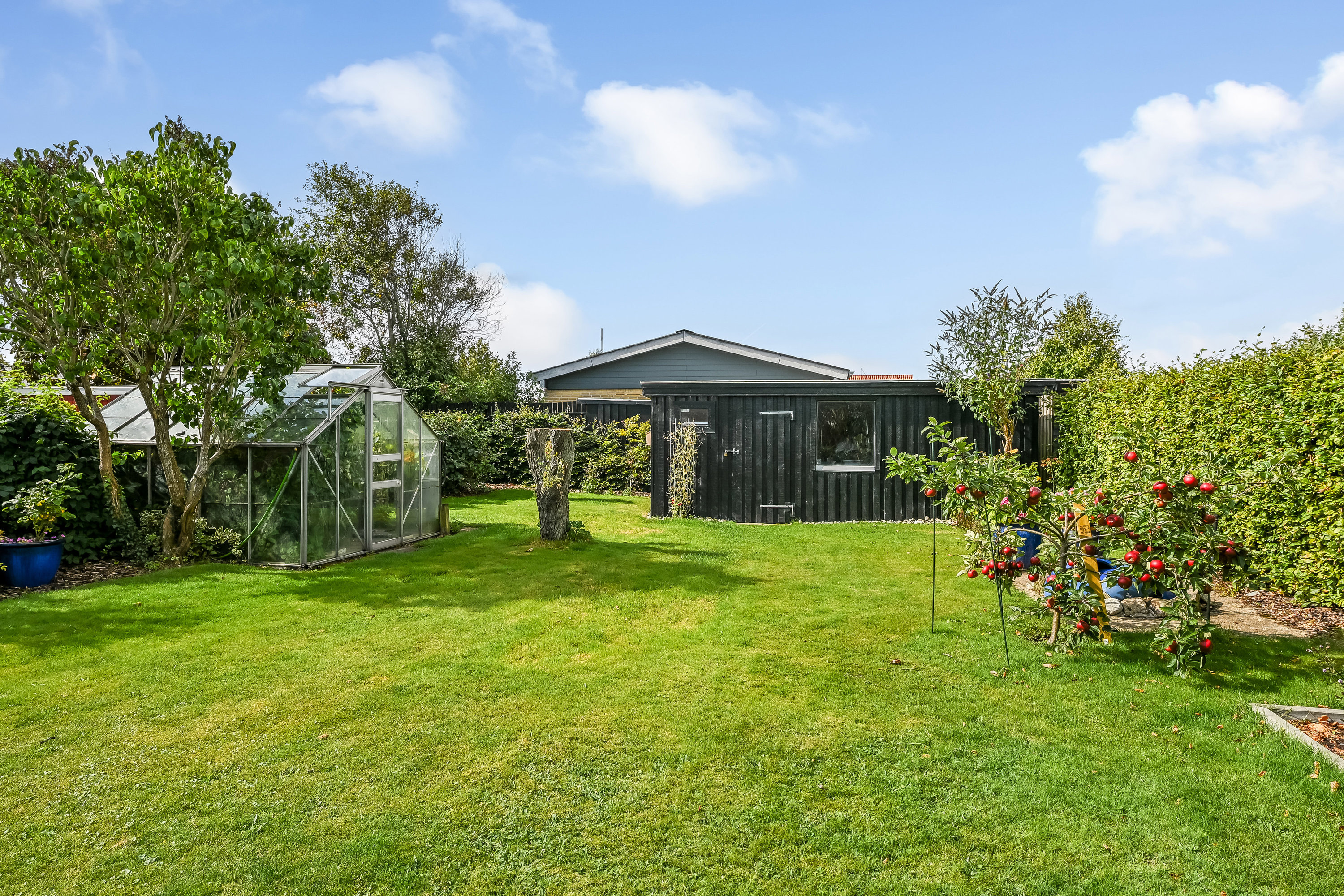 Fremhævet have billede i fuldskærmstilstand. Billede af Ingemanns Alle 76, 6700 Esbjerg