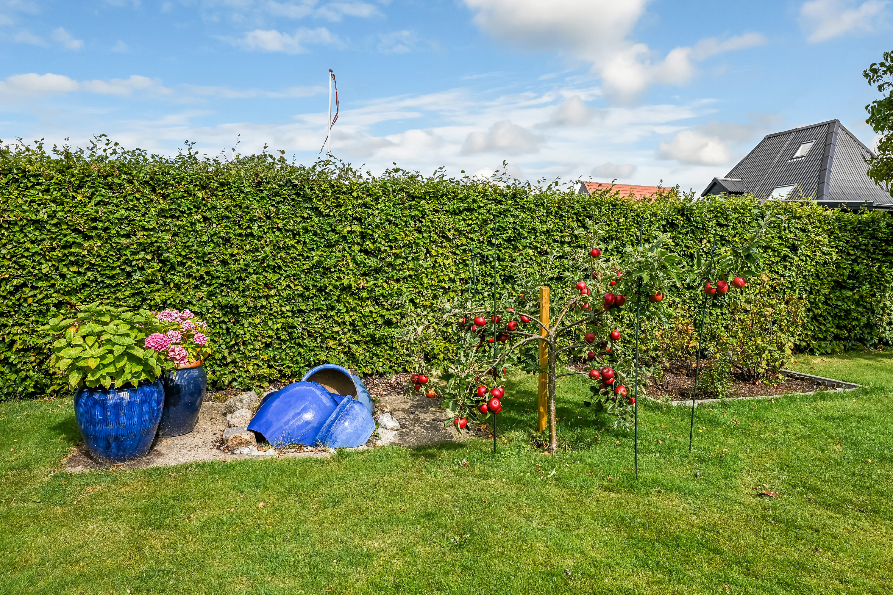 Fremhævet have billede i fuldskærmstilstand. Billede af Ingemanns Alle 76, 6700 Esbjerg