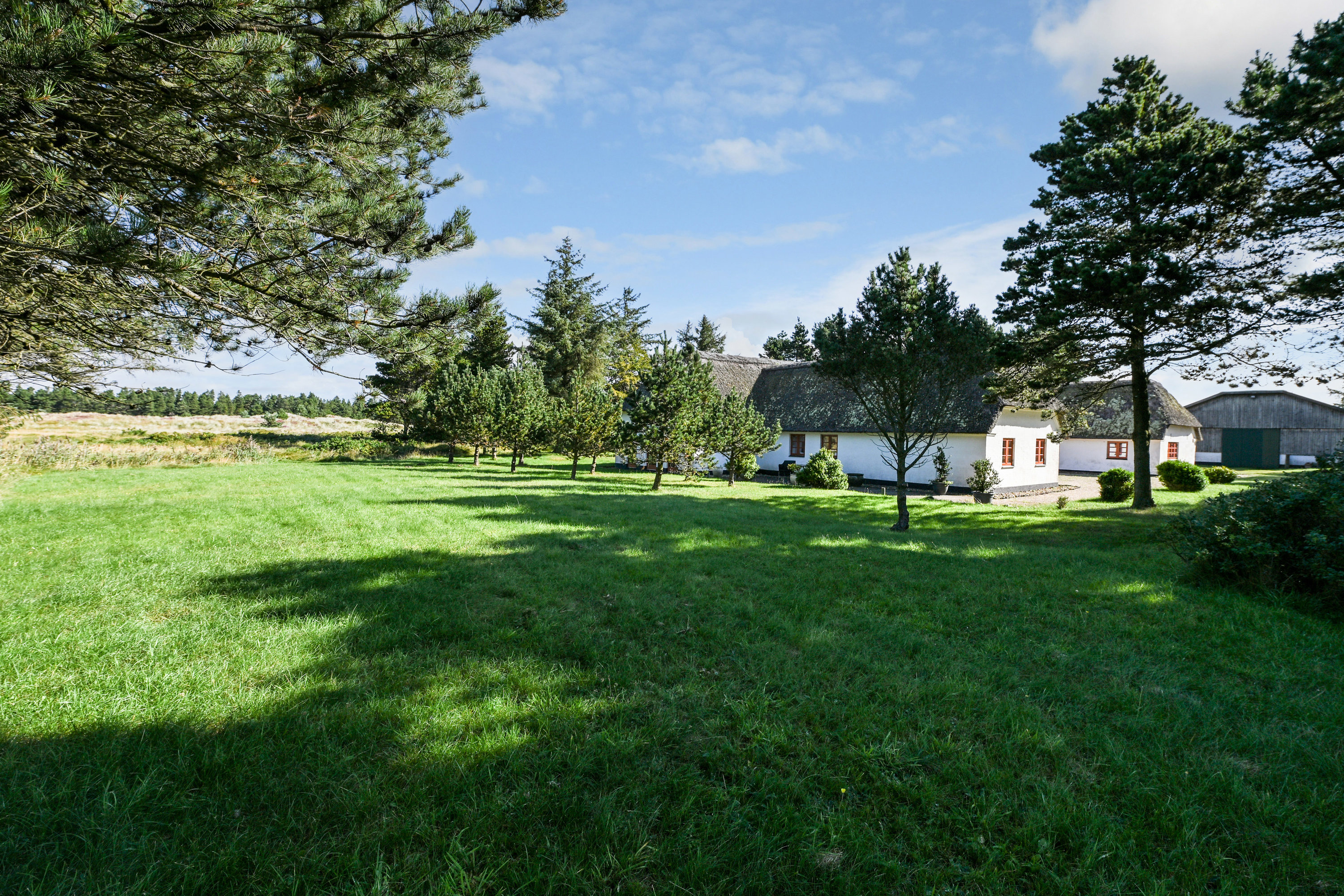 Fremhævet have billede i fuldskærmstilstand. Billede af Tane Hedevej 39, 6857 Blåvand