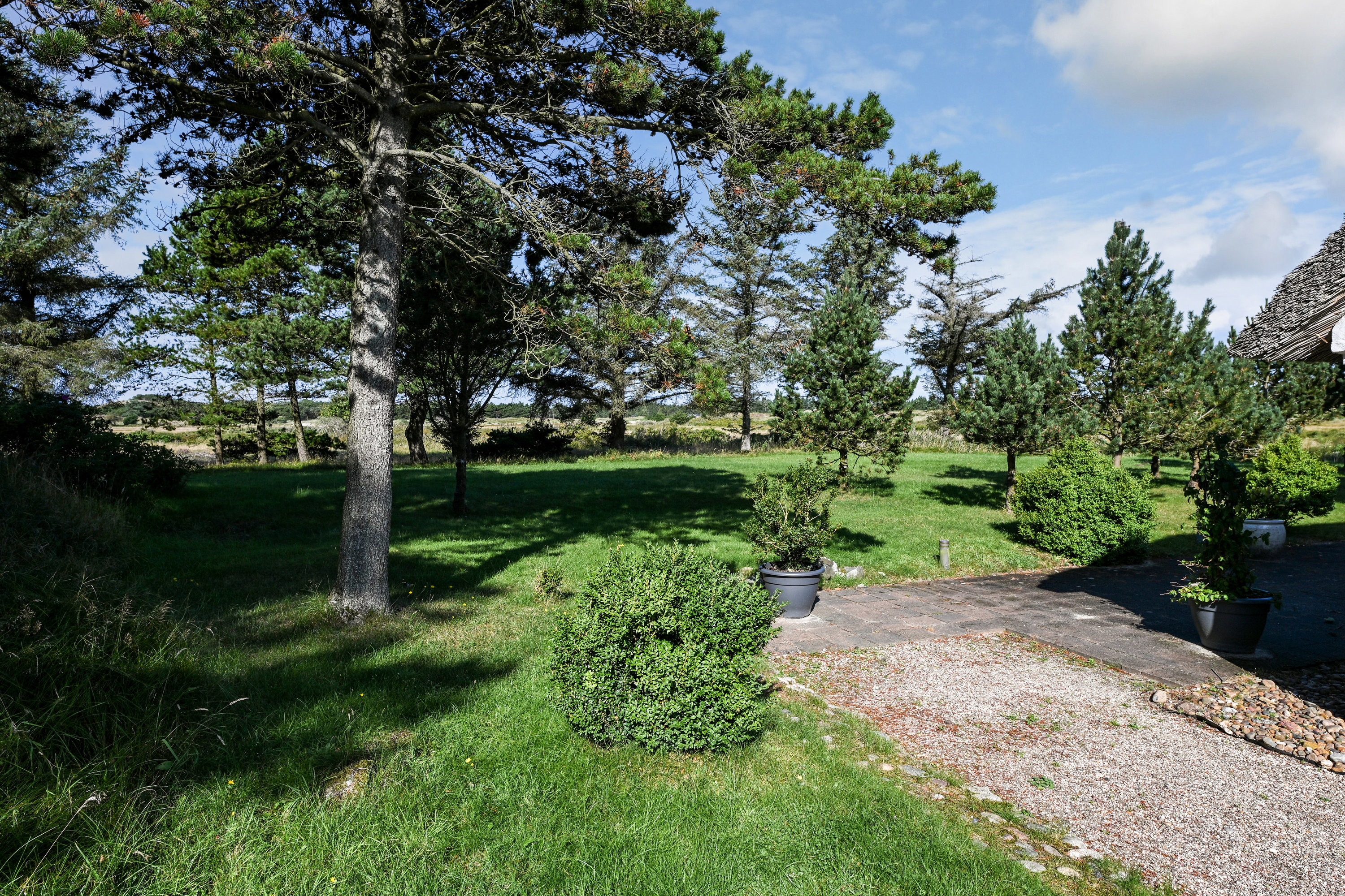 Fremhævet have billede i fuldskærmstilstand. Billede af Tane Hedevej 39, 6857 Blåvand