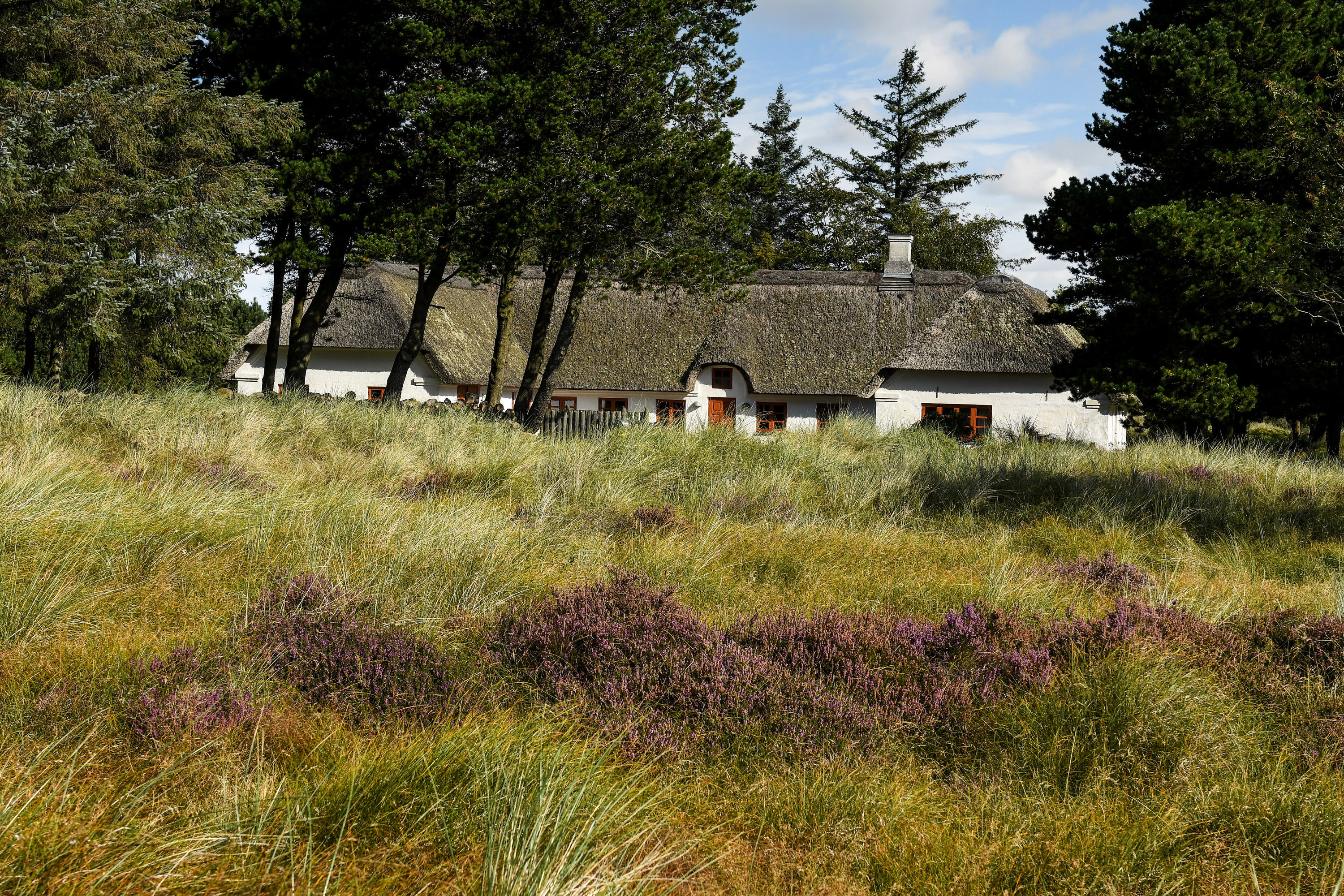 Fremhævet ejendommen billede i fuldskærmstilstand. Billede af Tane Hedevej 39, 6857 Blåvand