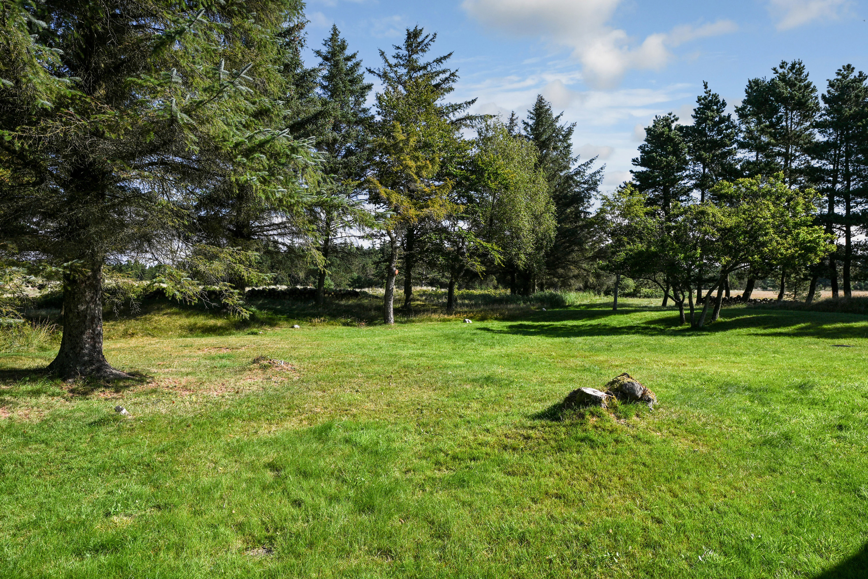 Fremhævet have billede i fuldskærmstilstand. Billede af Tane Hedevej 39, 6857 Blåvand