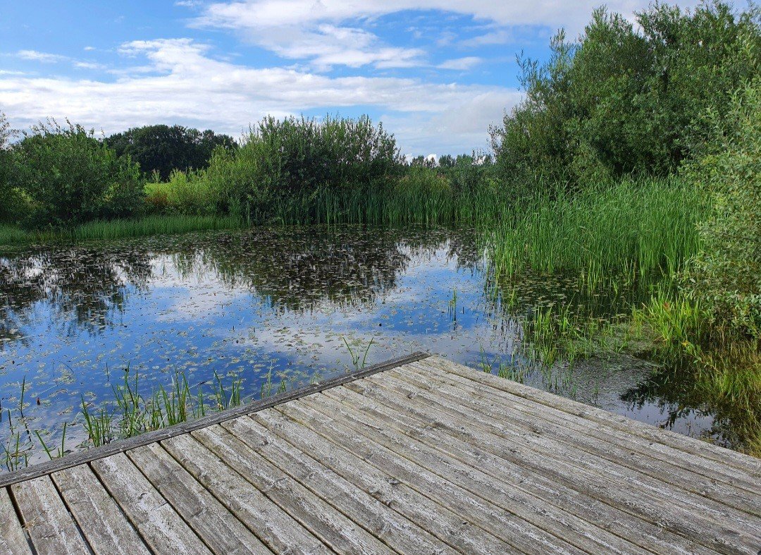 Fremhævet  billede i fuldskærmstilstand. Billede af Tofthøj Møllevej 51, Tofthøj, 7321 Gadbjerg