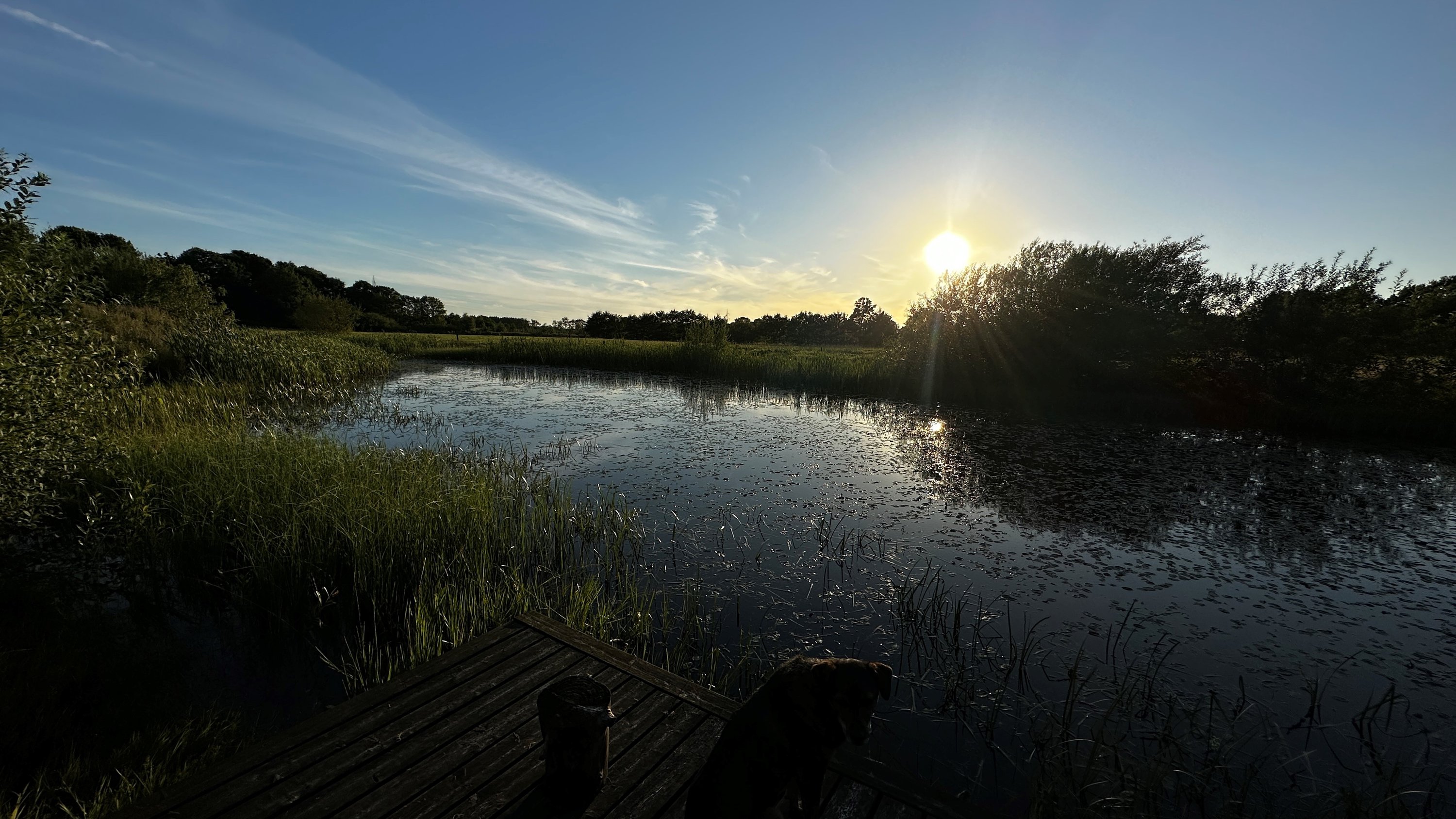 Fremhævet  billede i fuldskærmstilstand. Billede af Tofthøj Møllevej 51, Tofthøj, 7321 Gadbjerg
