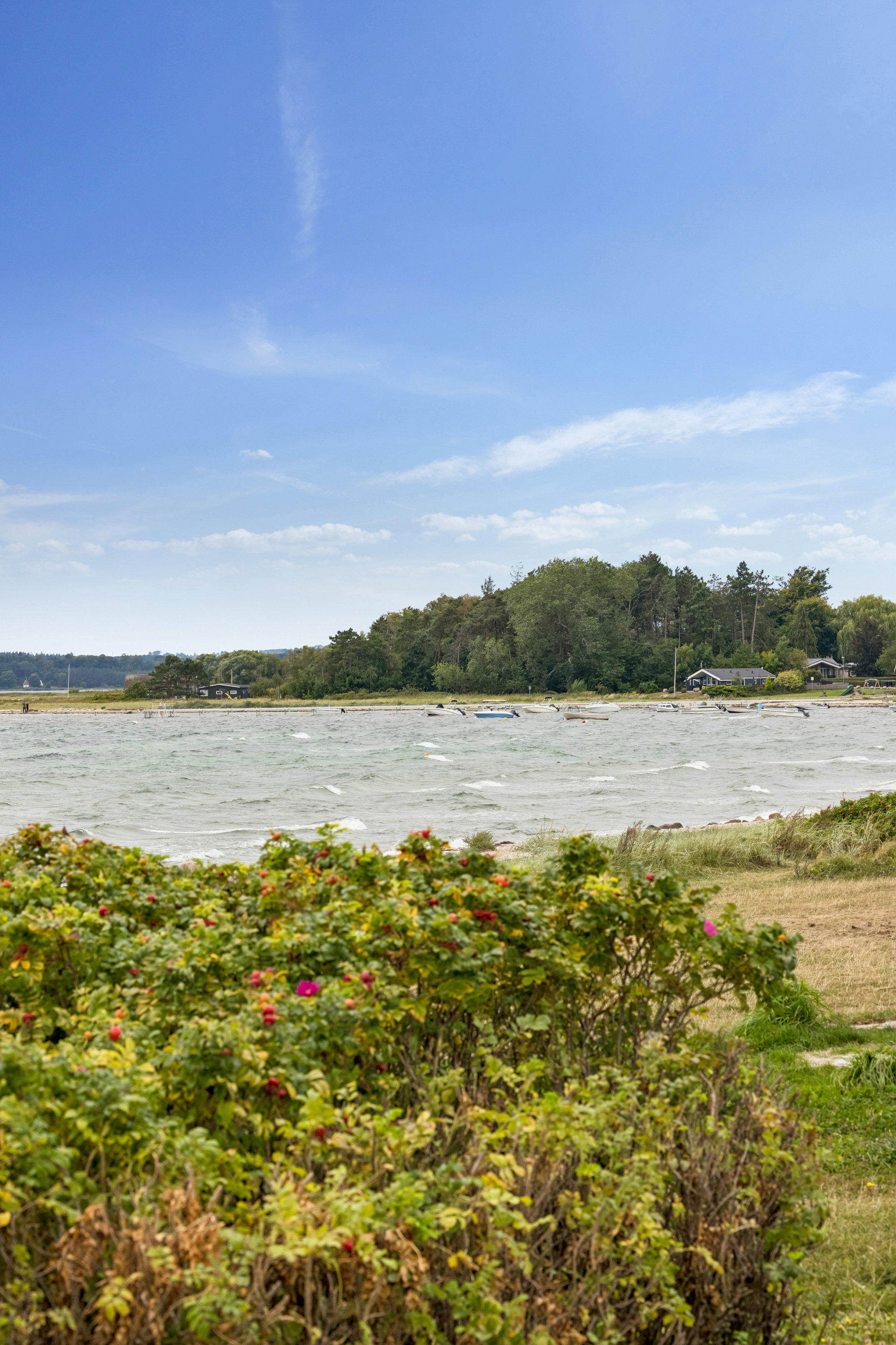 Fremhævet omgivelser billede i fuldskærmstilstand. Billede af Strandvejen 23A, 8410 Rønde