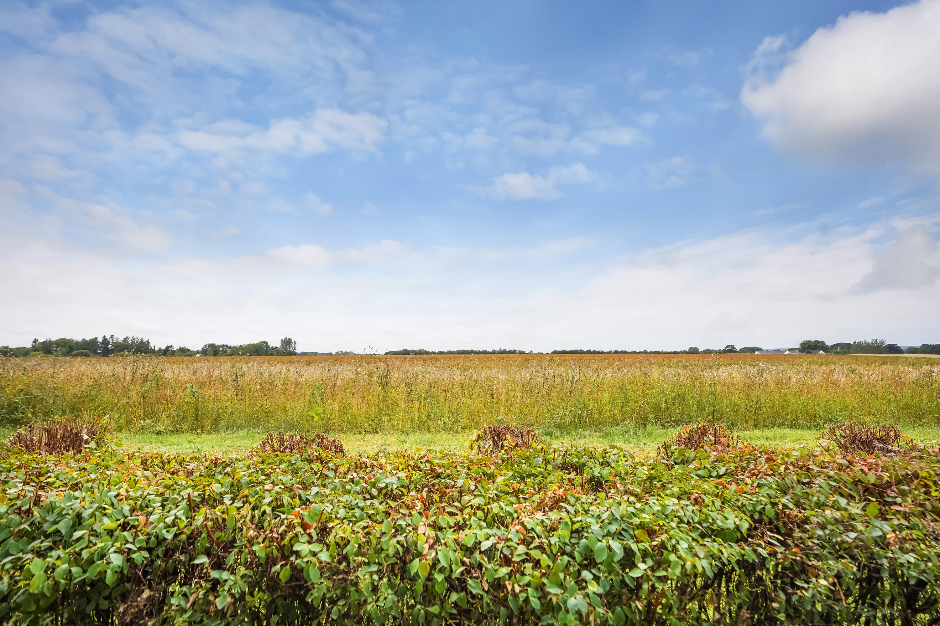 Fremhævet område billede i fuldskærmstilstand. Billede af Rosenvænget 13, 7171 Uldum