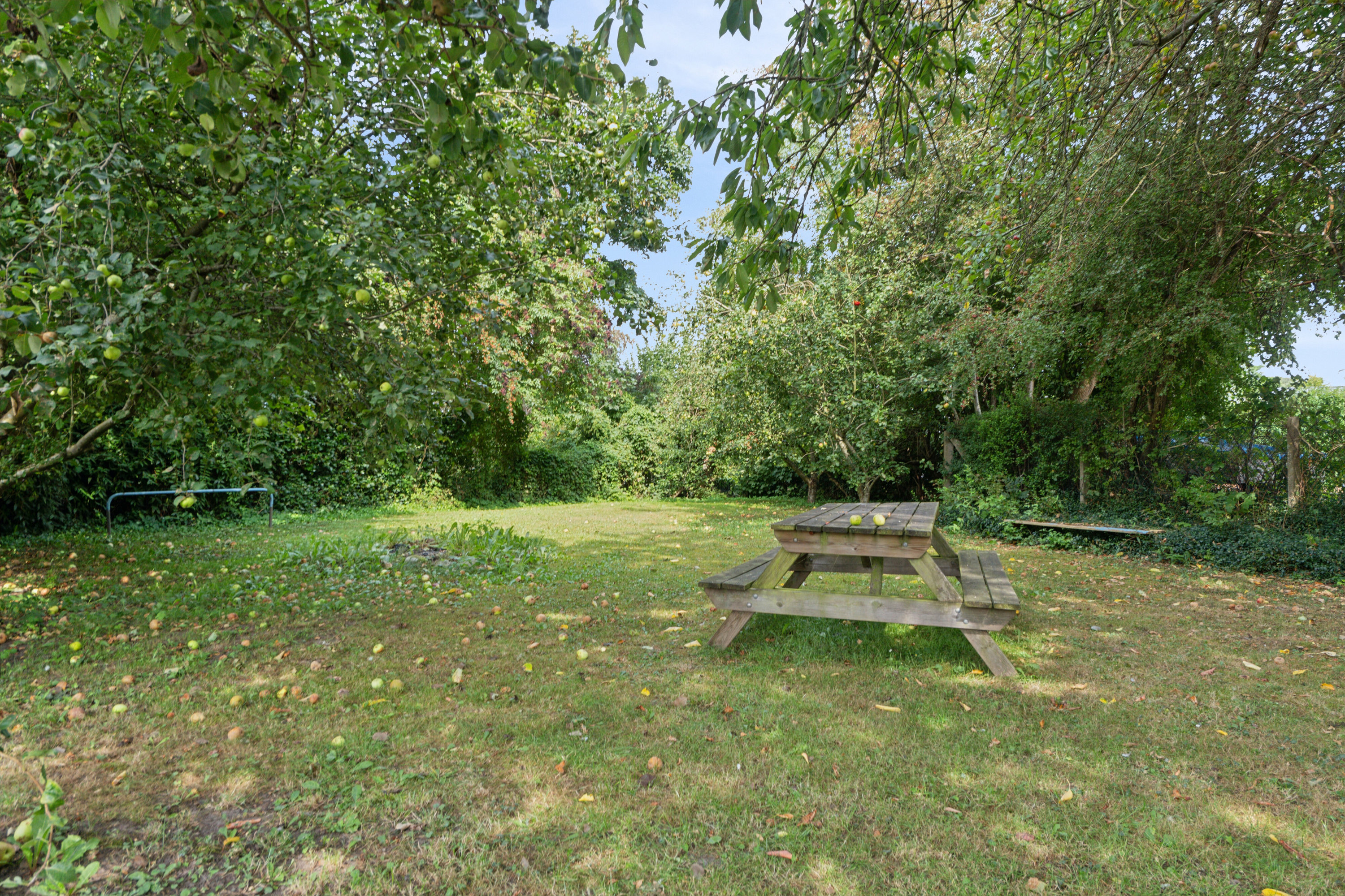 Fremhævet fællesområde billede i fuldskærmstilstand. Billede af Lindeparken 7, Skt Klemens, 5260 Odense S