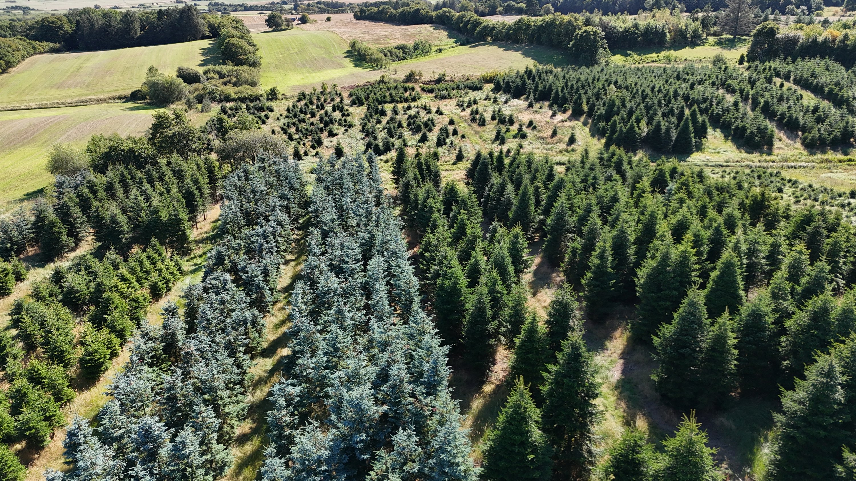 Fremhævet ejendom 1 billede i fuldskærmstilstand. Billede af Ejstrupvej 11, Tranum, 9460 Brovst