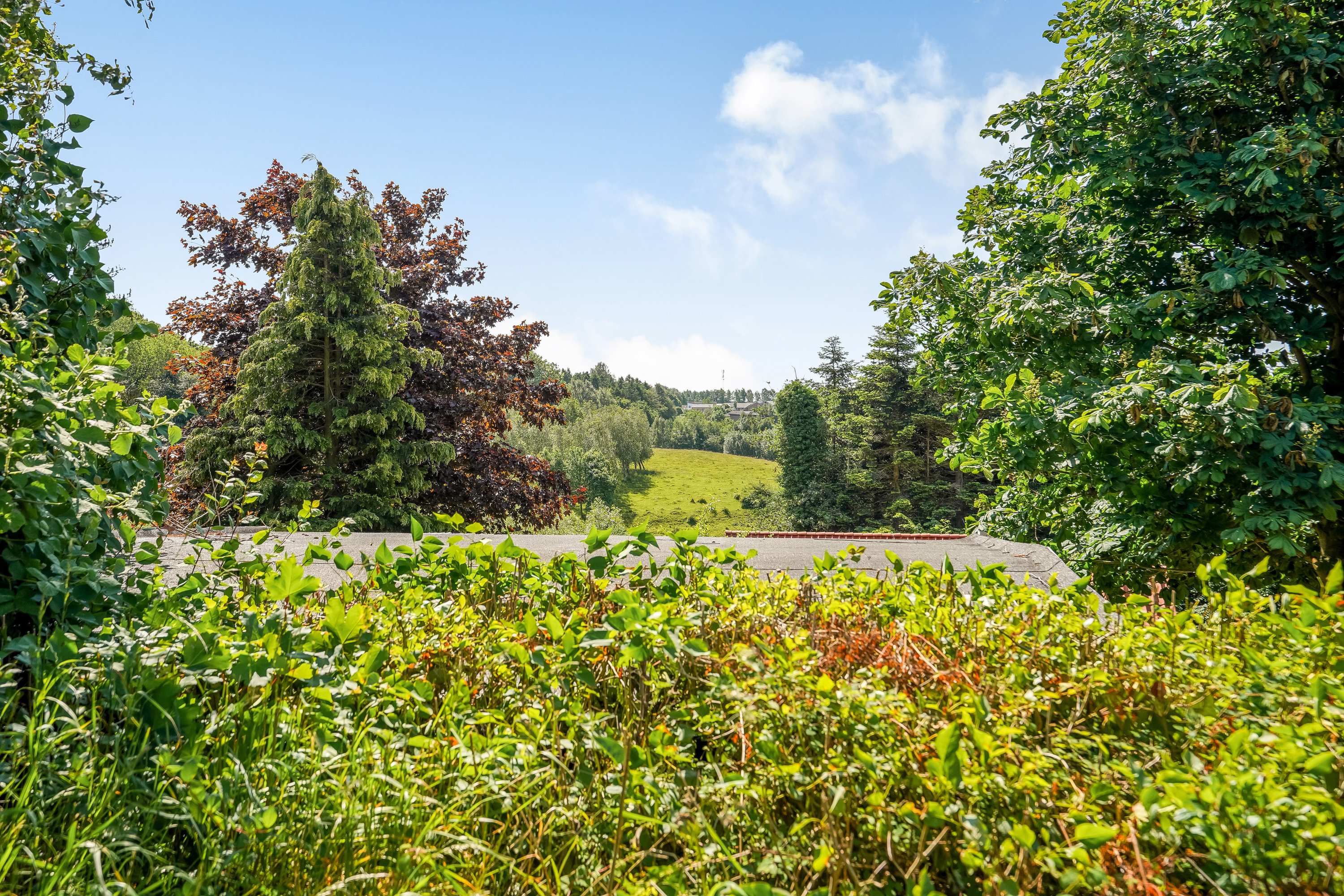 Fremhævet udsigt mod syd billede i fuldskærmstilstand. Billede af Dæmningen 101, Strib, 5500 Middelfart