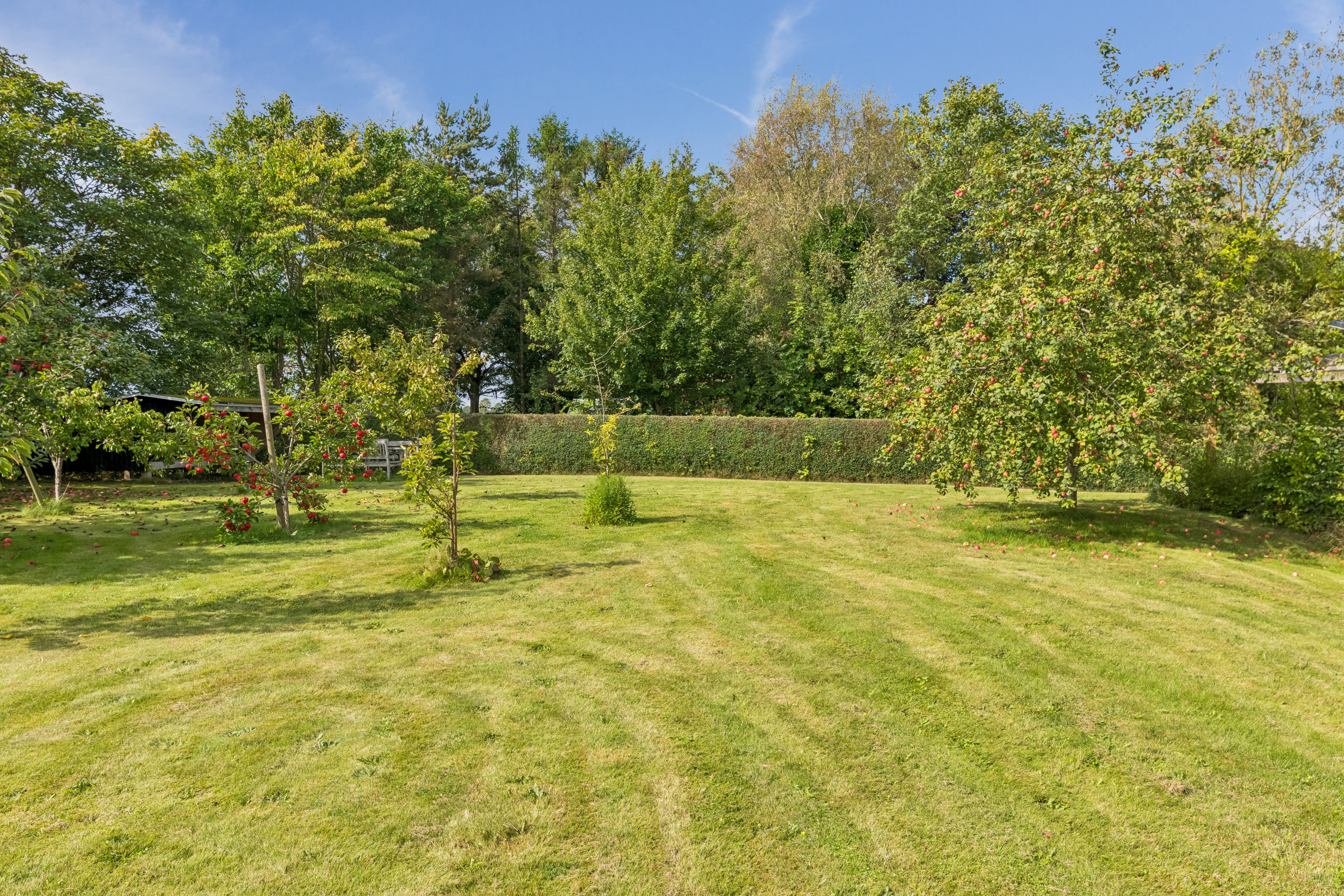 Fremhævet have billede i fuldskærmstilstand. Billede af Vindumvej 75, 8850 Bjerringbro