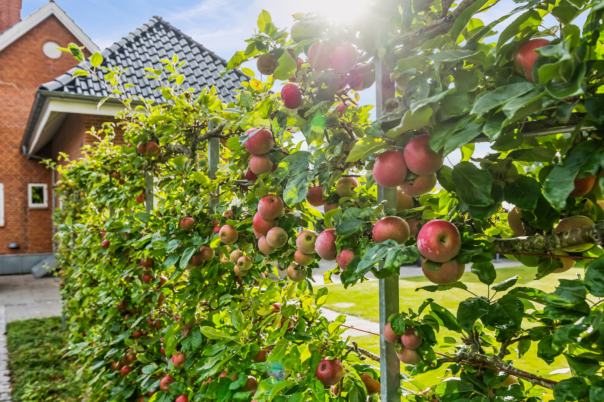 Fremhævet ejendom 1 billede i fuldskærmstilstand. Billede af Jens Baggesens Vej 2, 8920 Randers NV