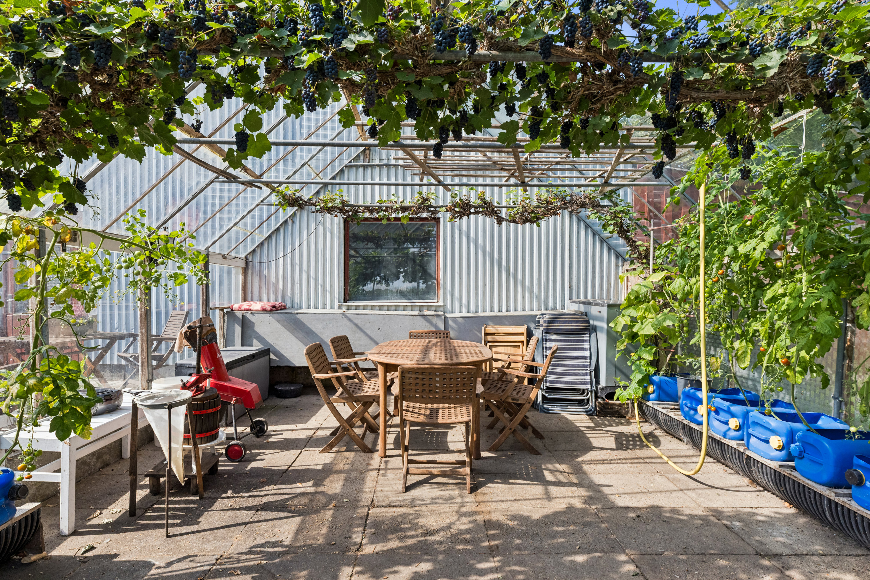 Fremhævet drivhus billede i fuldskærmstilstand. Billede af Koldingvej 95, Kalvslund, 6760 Ribe