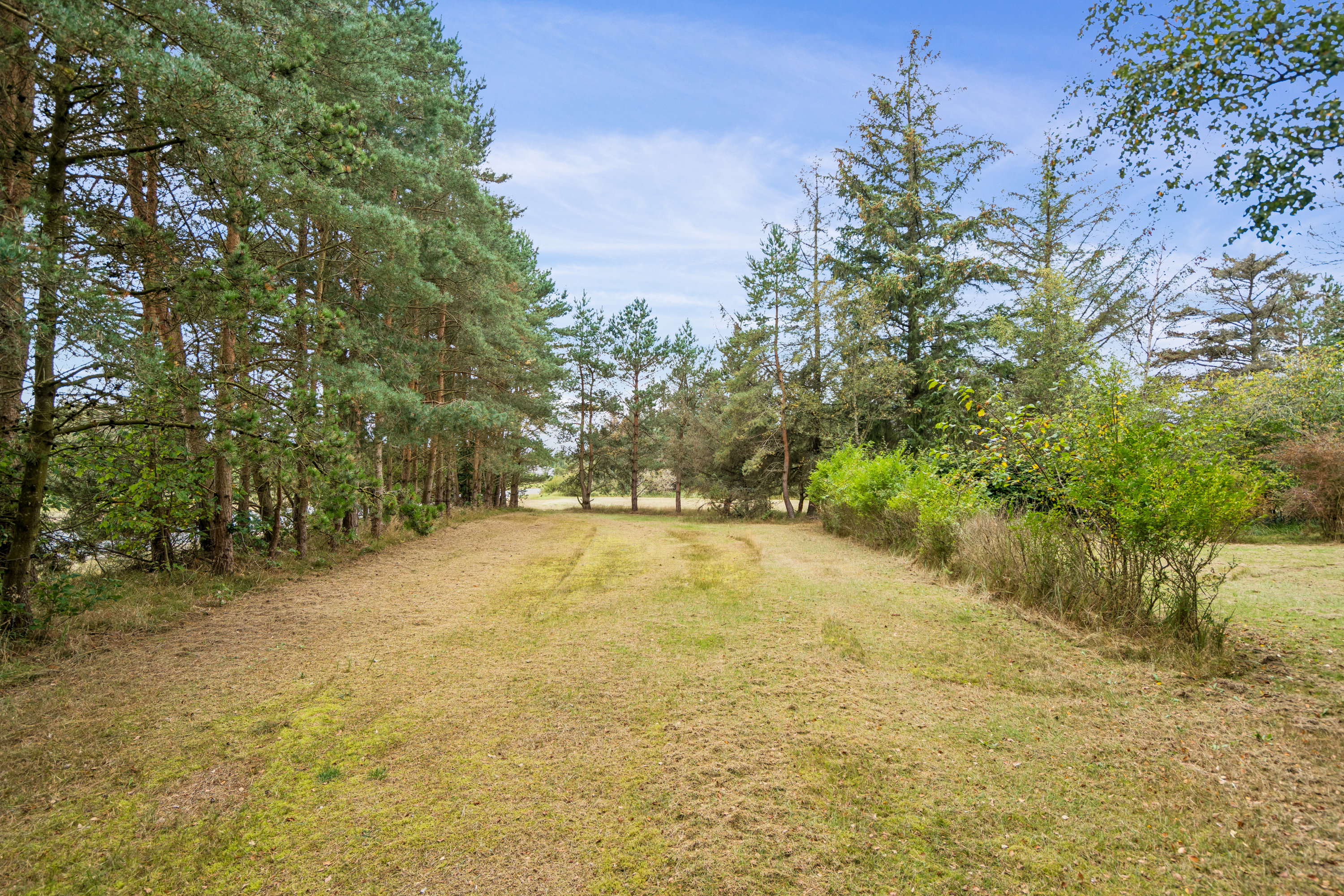 Fremhævet have billede i fuldskærmstilstand. Billede af Jennetvej 112, 9982 Ålbæk