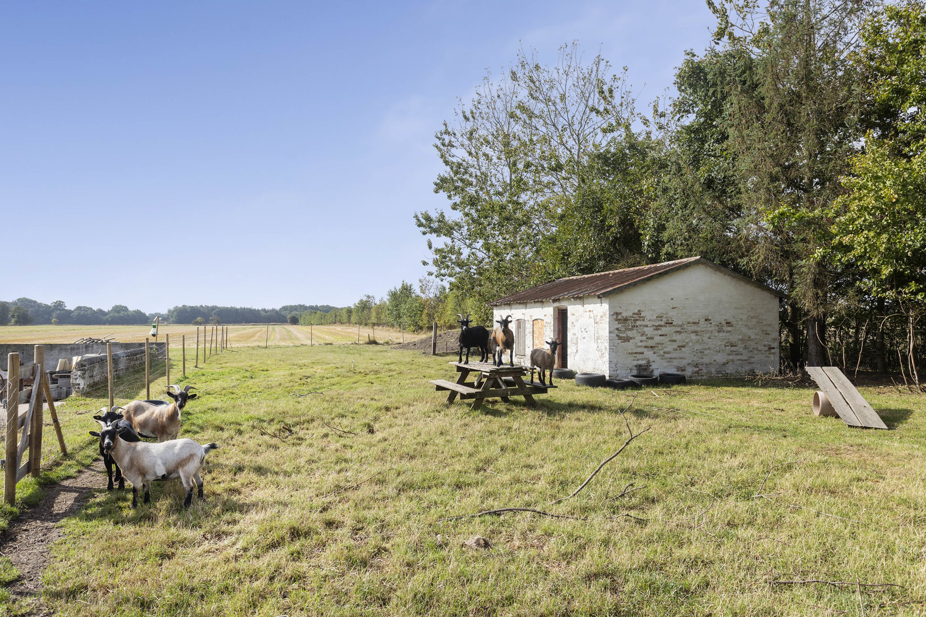 Fremhævet marker billede i fuldskærmstilstand. Billede af Kraghedevej 186, 9382 Tylstrup