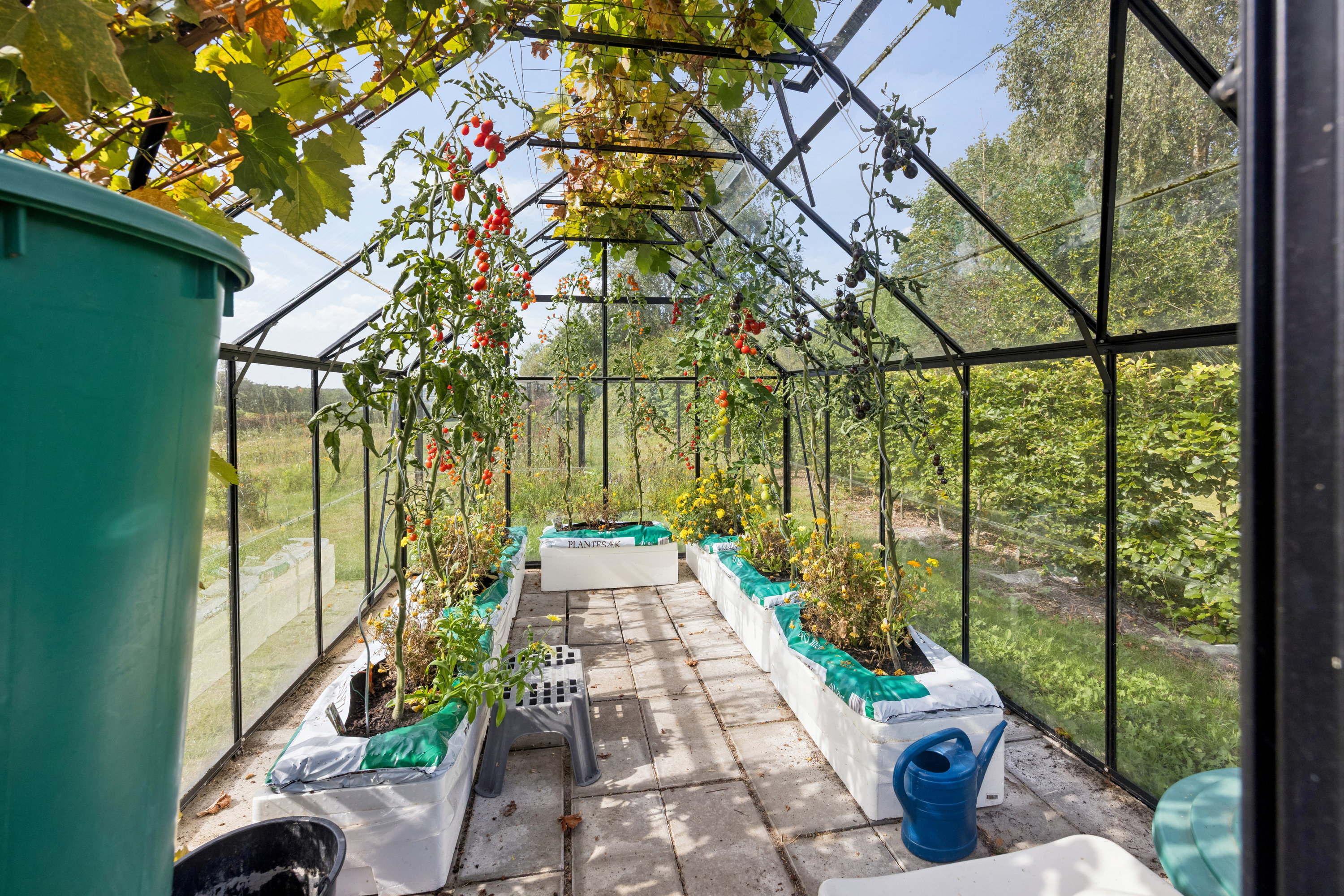 Fremhævet drivhus billede i fuldskærmstilstand. Billede af Klejtrupvej 80, Hvornum, 9500 Hobro