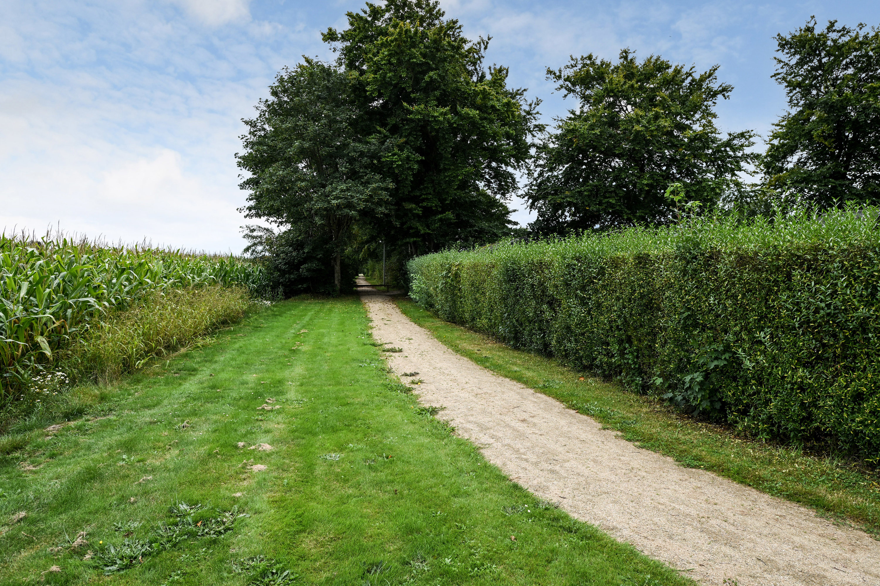 Fremhævet område billede i fuldskærmstilstand. Billede af Egebjerg Landevej 90, Vesterhede, 7250 Hejnsvig