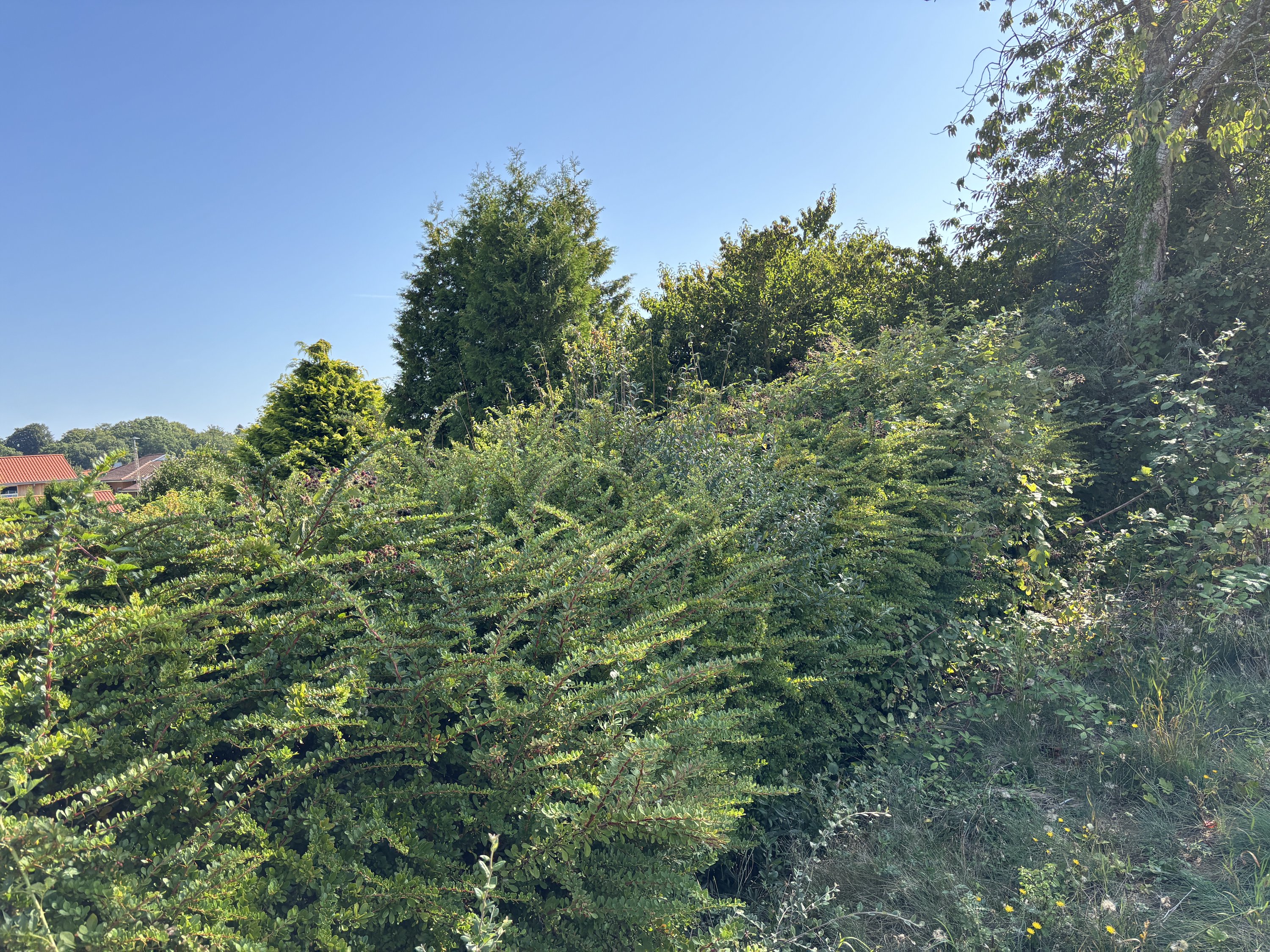 Fremhævet  billede i fuldskærmstilstand. Billede af Snærildvej 49, 8300 Odder