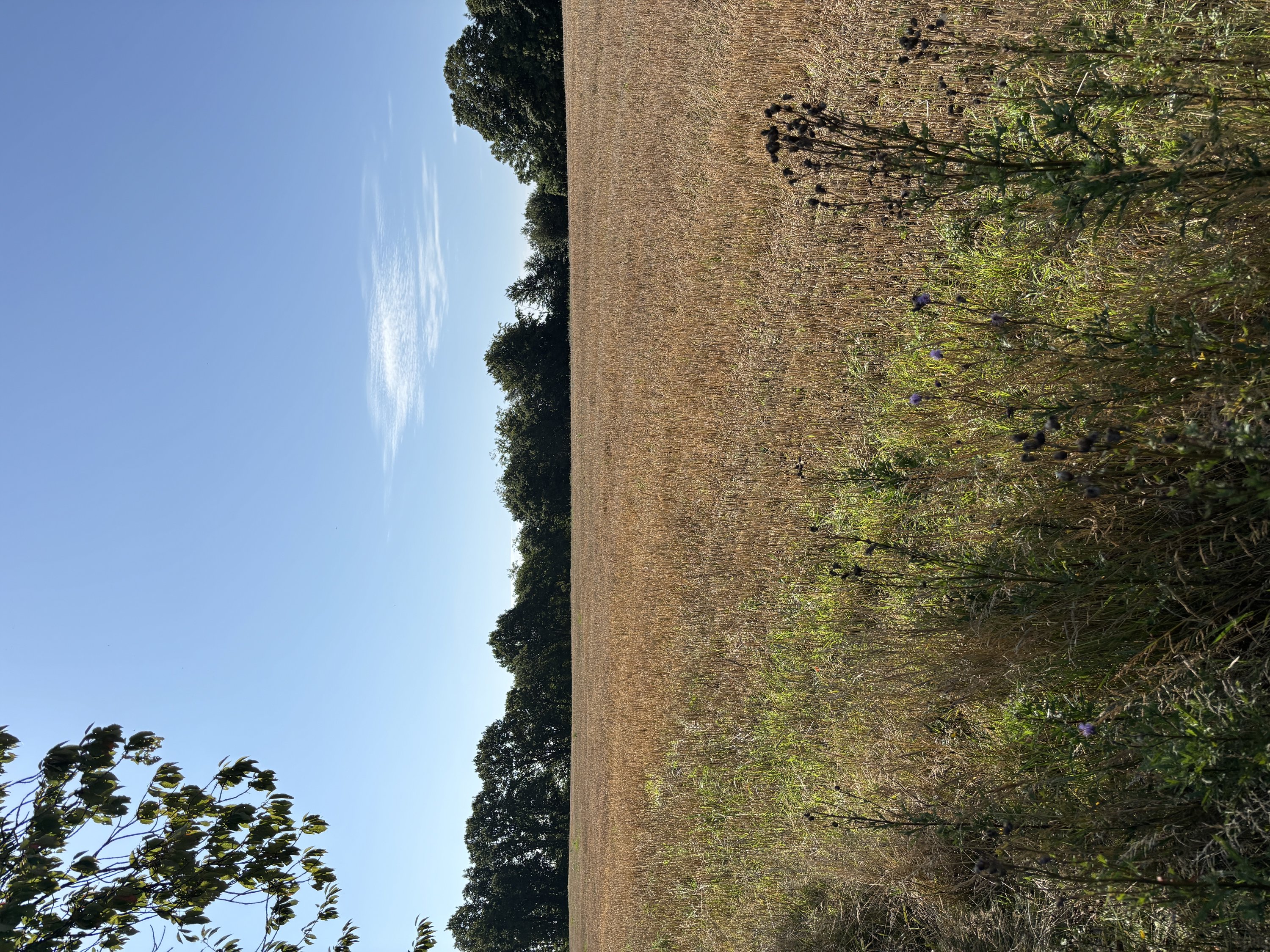 Fremhævet  billede i fuldskærmstilstand. Billede af Snærildvej 49, 8300 Odder