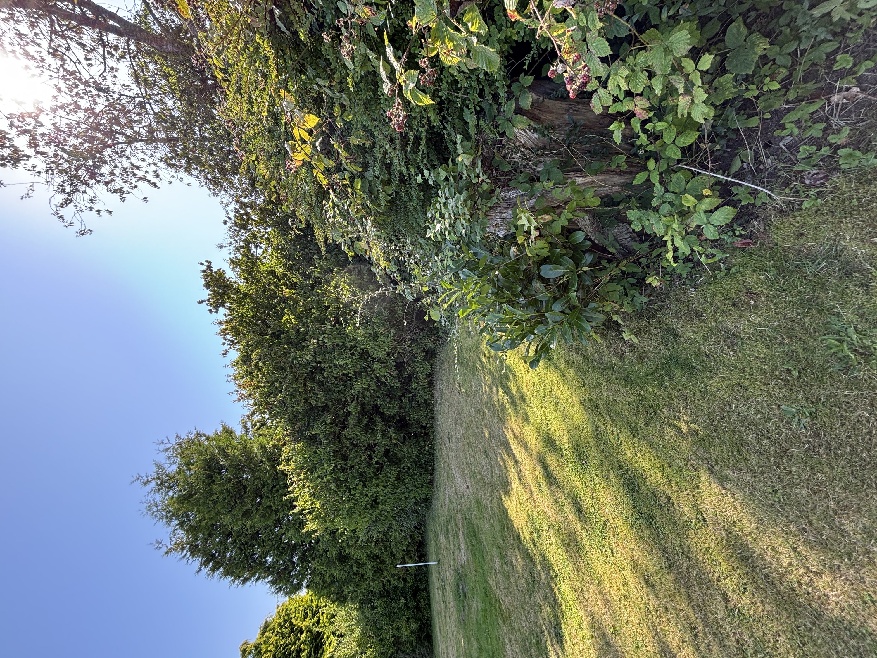 Fremhævet  billede i fuldskærmstilstand. Billede af Snærildvej 49, 8300 Odder