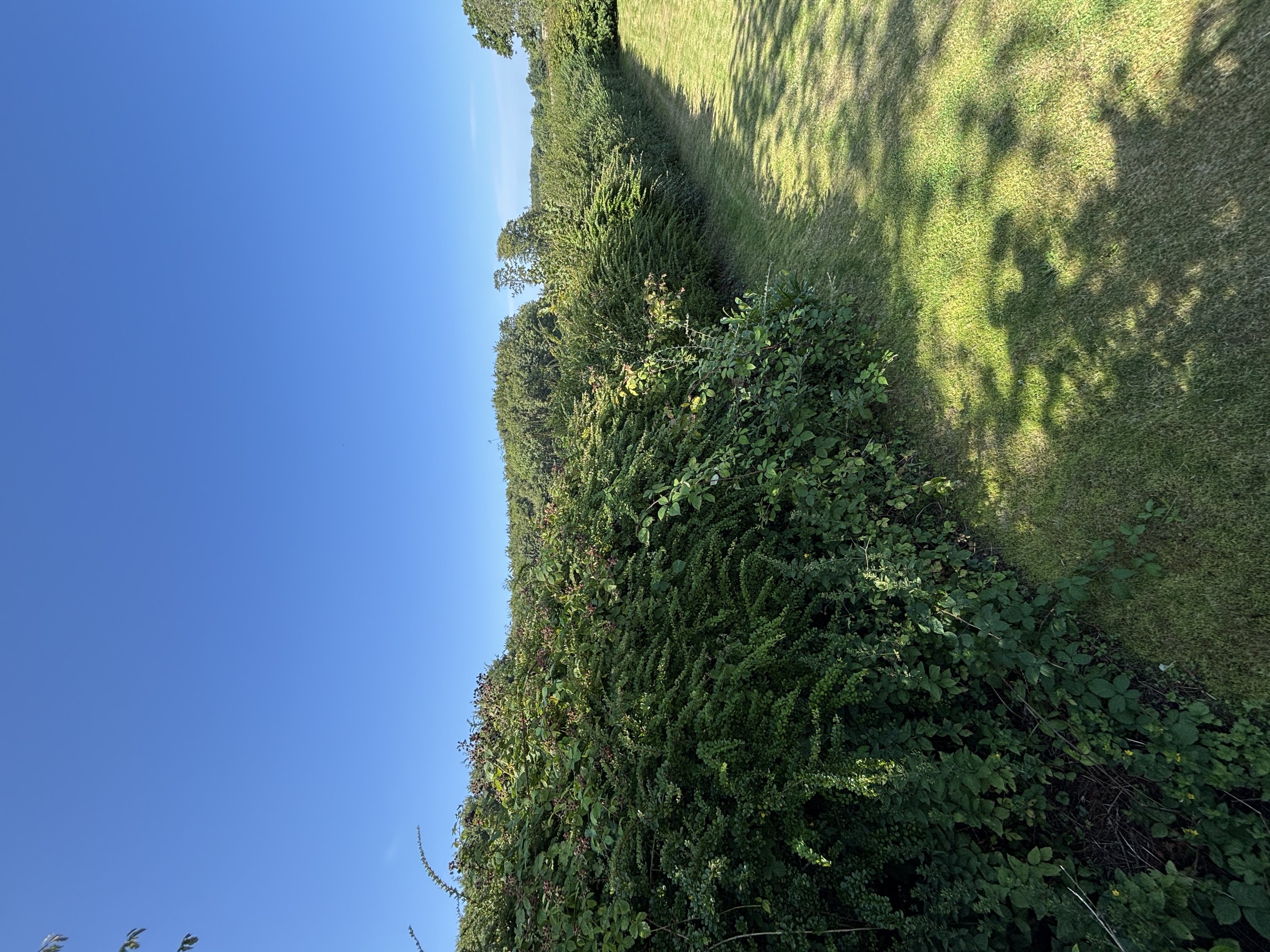 Fremhævet  billede i fuldskærmstilstand. Billede af Snærildvej 49, 8300 Odder