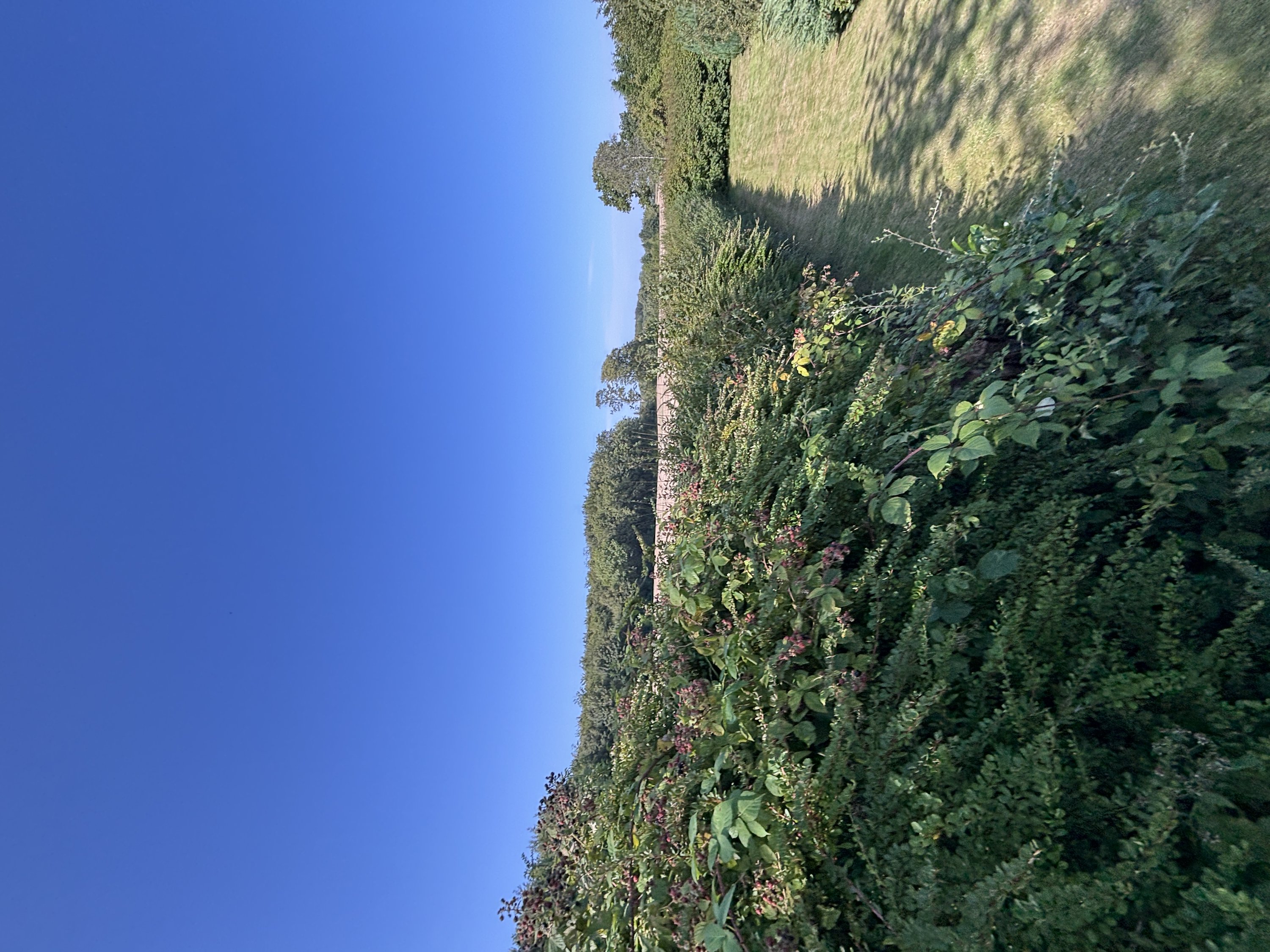 Fremhævet  billede i fuldskærmstilstand. Billede af Snærildvej 49, 8300 Odder