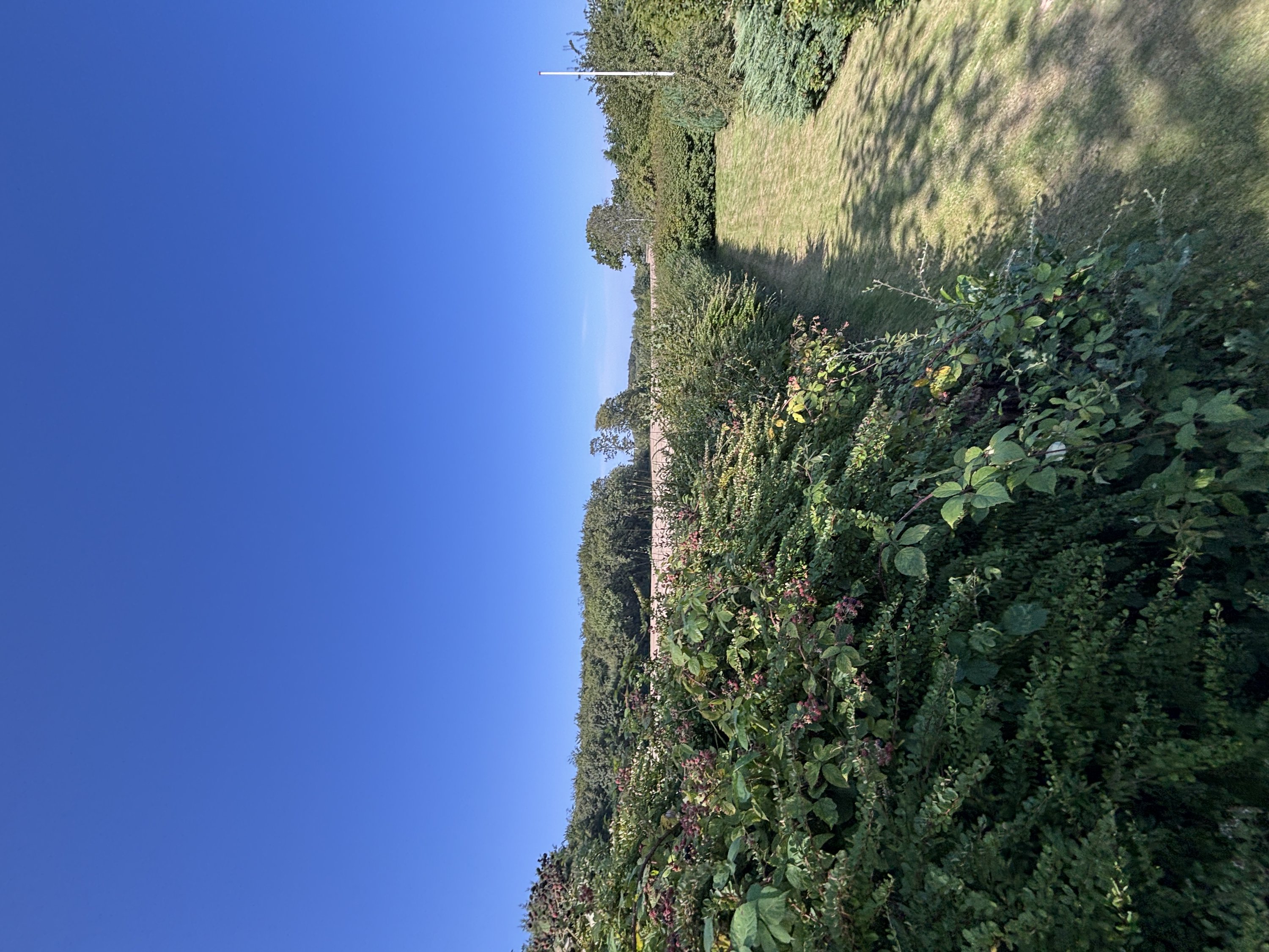 Fremhævet  billede i fuldskærmstilstand. Billede af Snærildvej 49, 8300 Odder