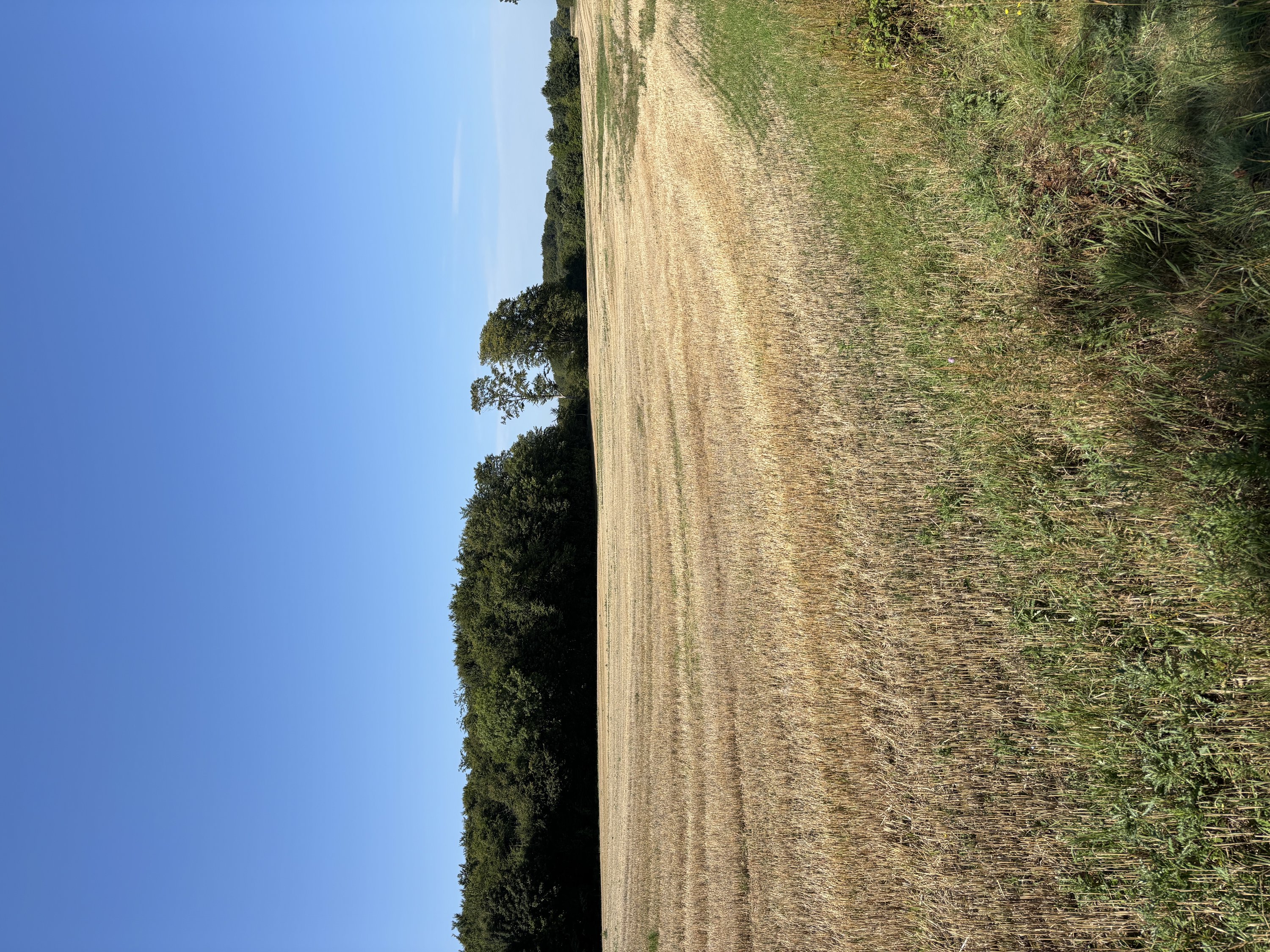 Fremhævet  billede i fuldskærmstilstand. Billede af Snærildvej 49, 8300 Odder