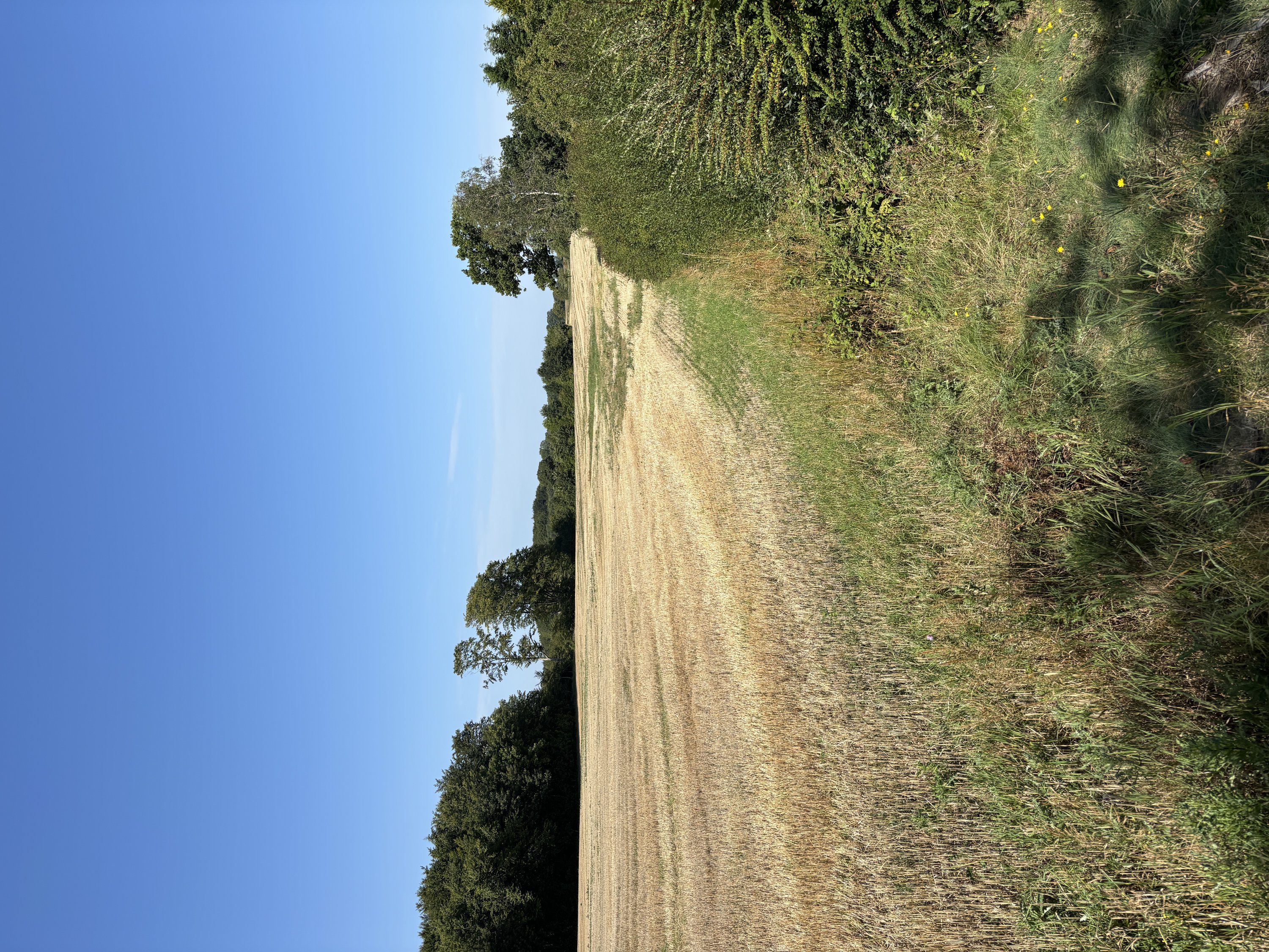 Fremhævet  billede i fuldskærmstilstand. Billede af Snærildvej 49, 8300 Odder