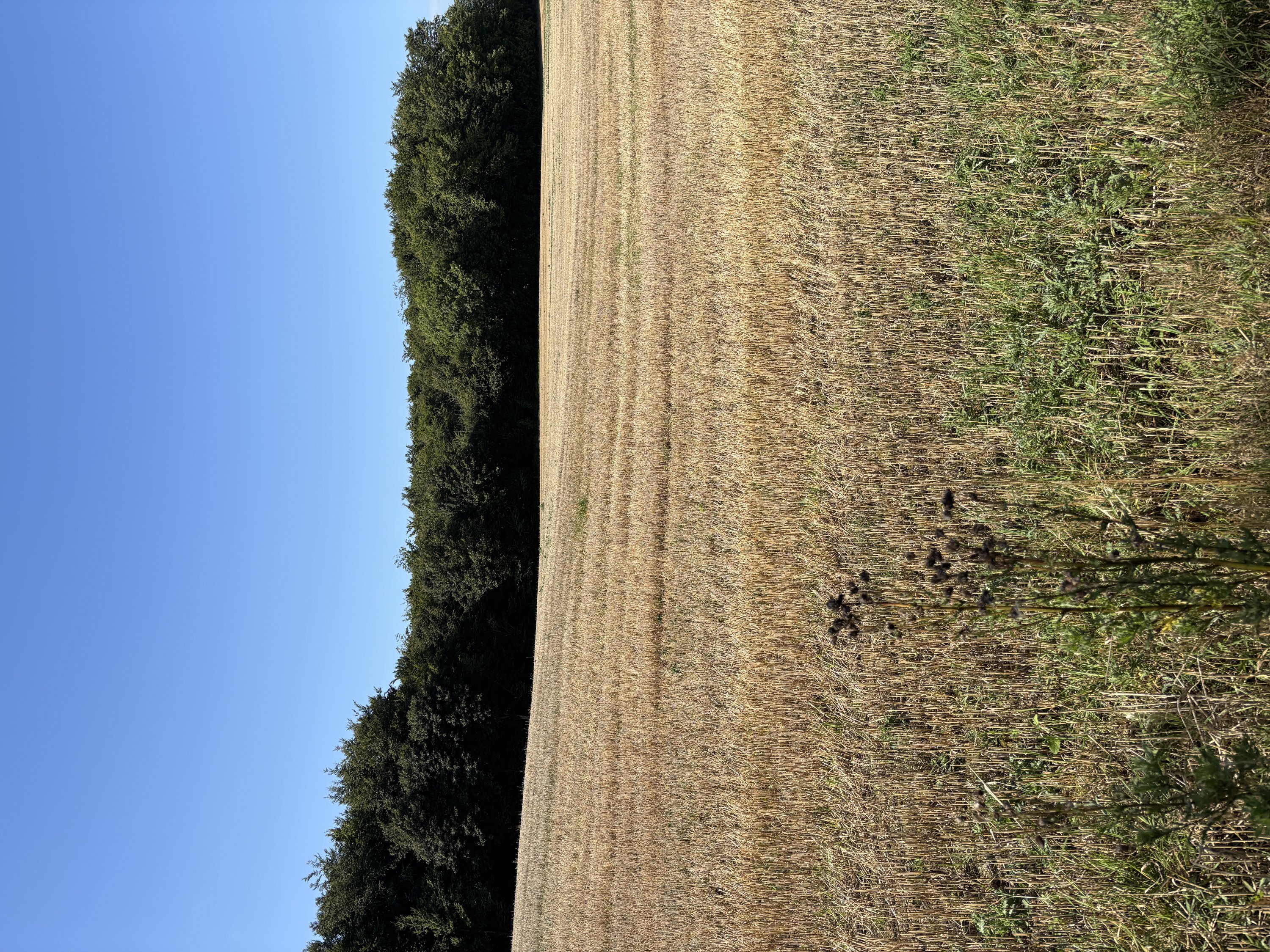 Fremhævet  billede i fuldskærmstilstand. Billede af Snærildvej 49, 8300 Odder