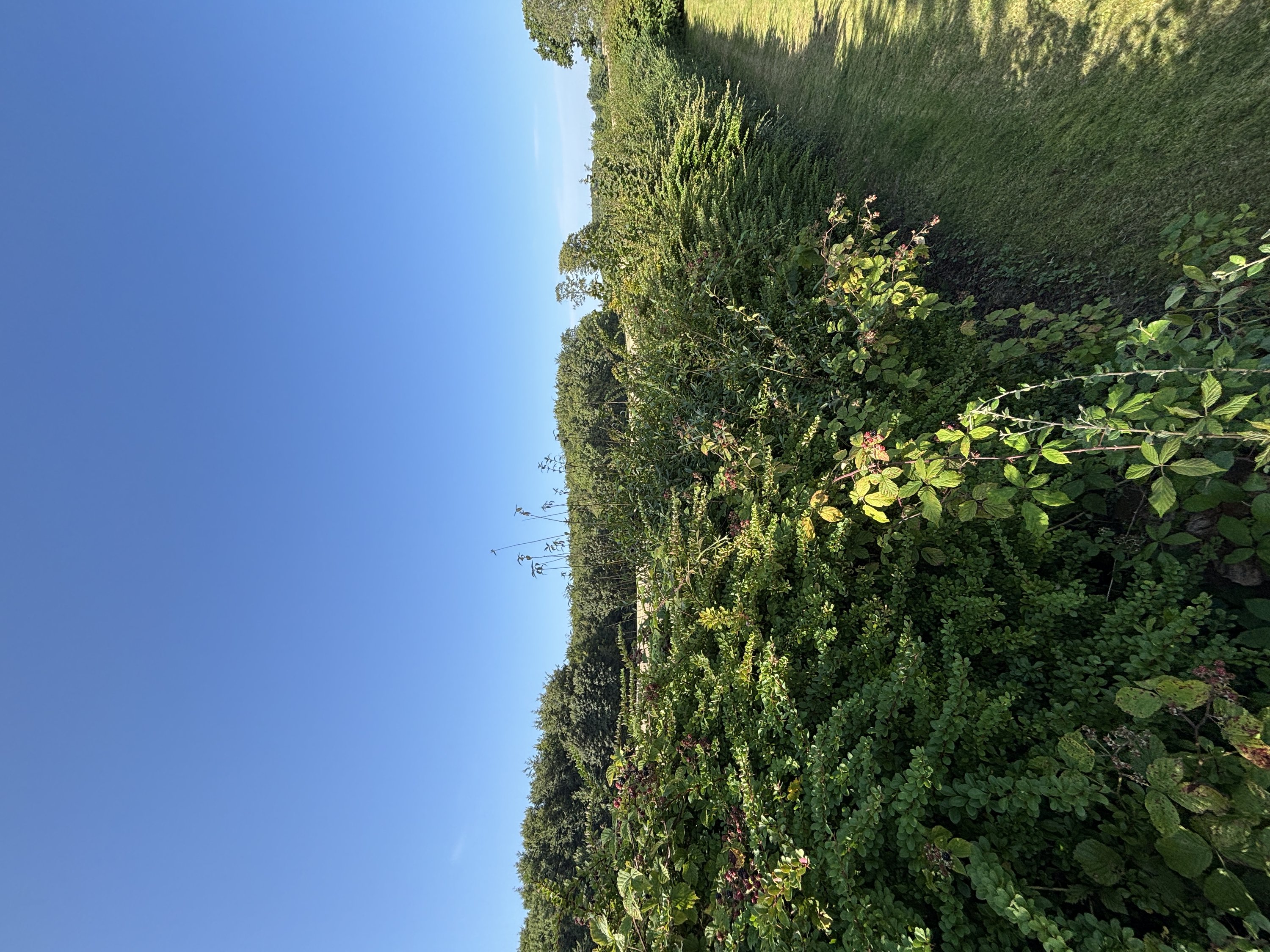 Fremhævet  billede i fuldskærmstilstand. Billede af Snærildvej 49, 8300 Odder