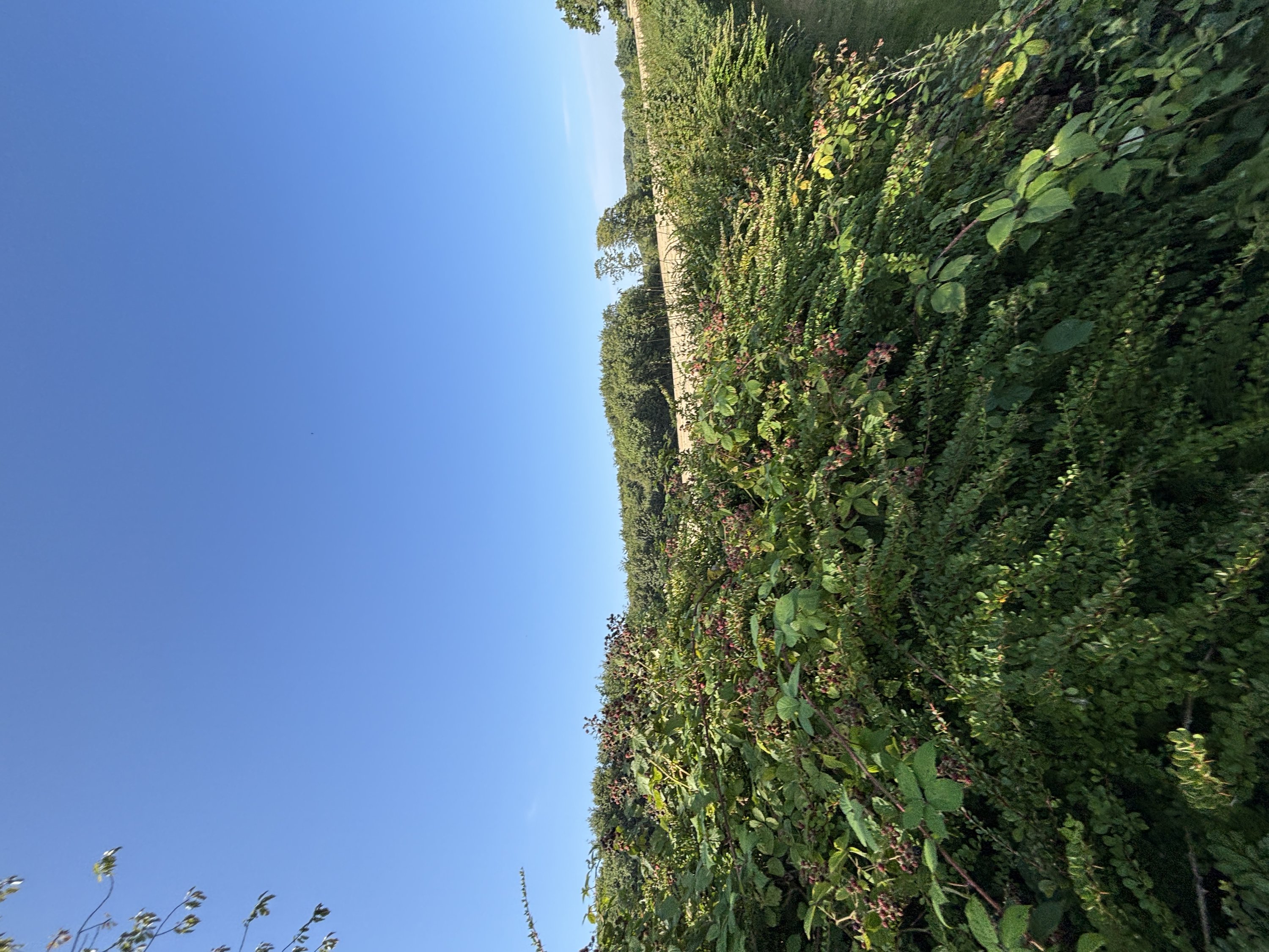 Fremhævet  billede i fuldskærmstilstand. Billede af Snærildvej 49, 8300 Odder