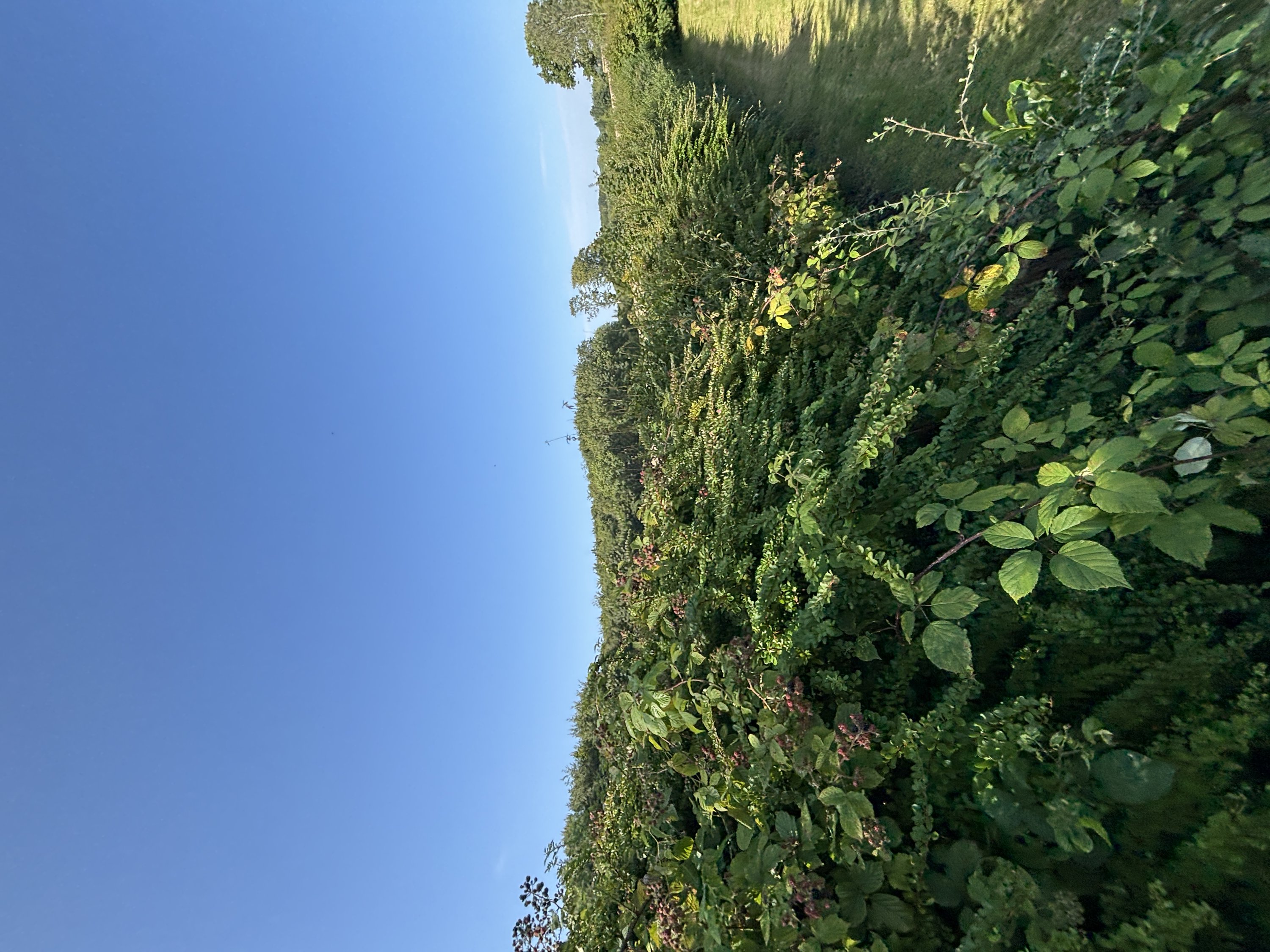 Fremhævet  billede i fuldskærmstilstand. Billede af Snærildvej 49, 8300 Odder