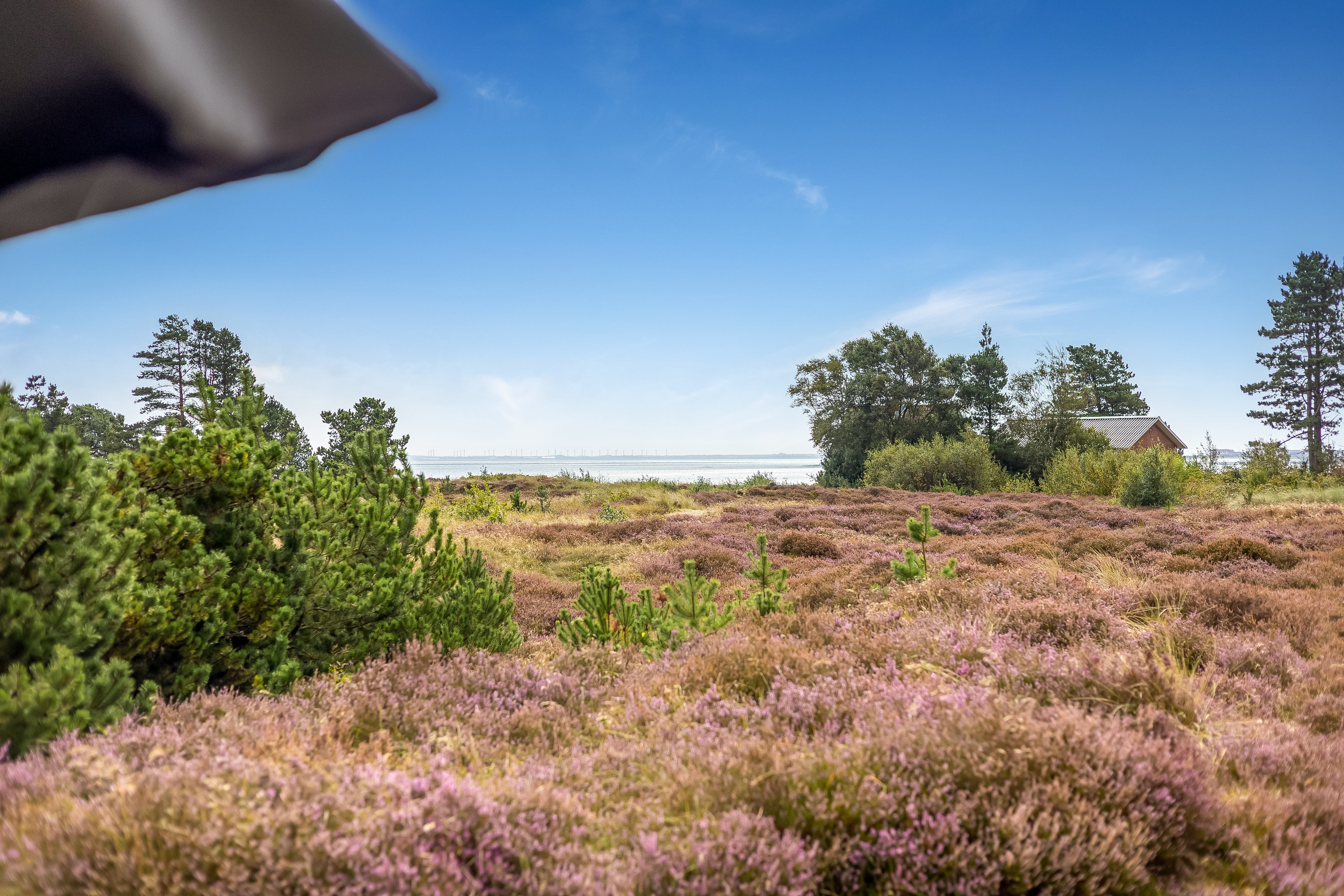 Miniaturebillede 2: udsigt. Billede af J Tagholmsvej 29D, Kromose, 6792 Rømø