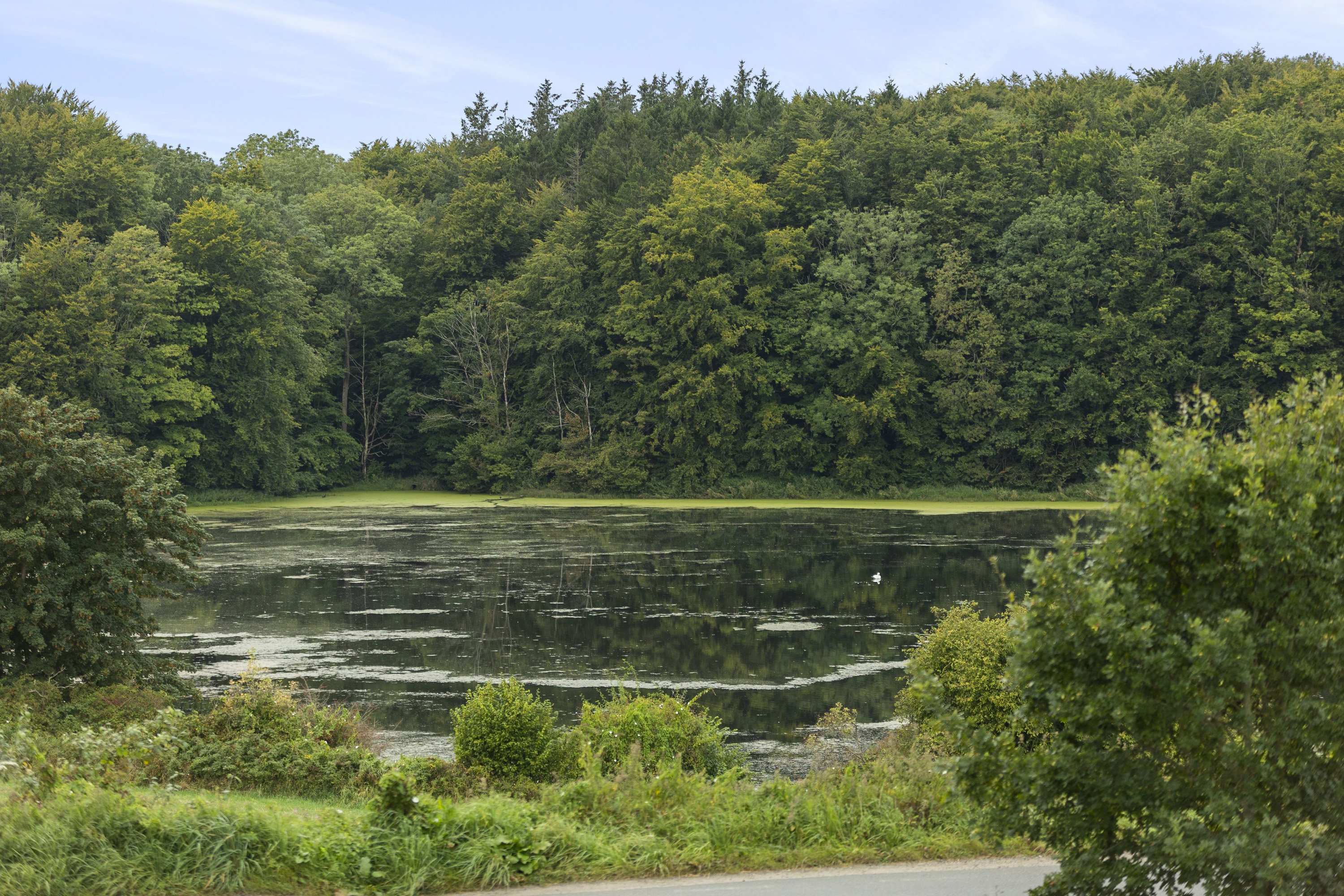 Fremhævet område billede i fuldskærmstilstand. Billede af Løjt Bellevue 8, Løjt Nørresk, 6200 Aabenraa