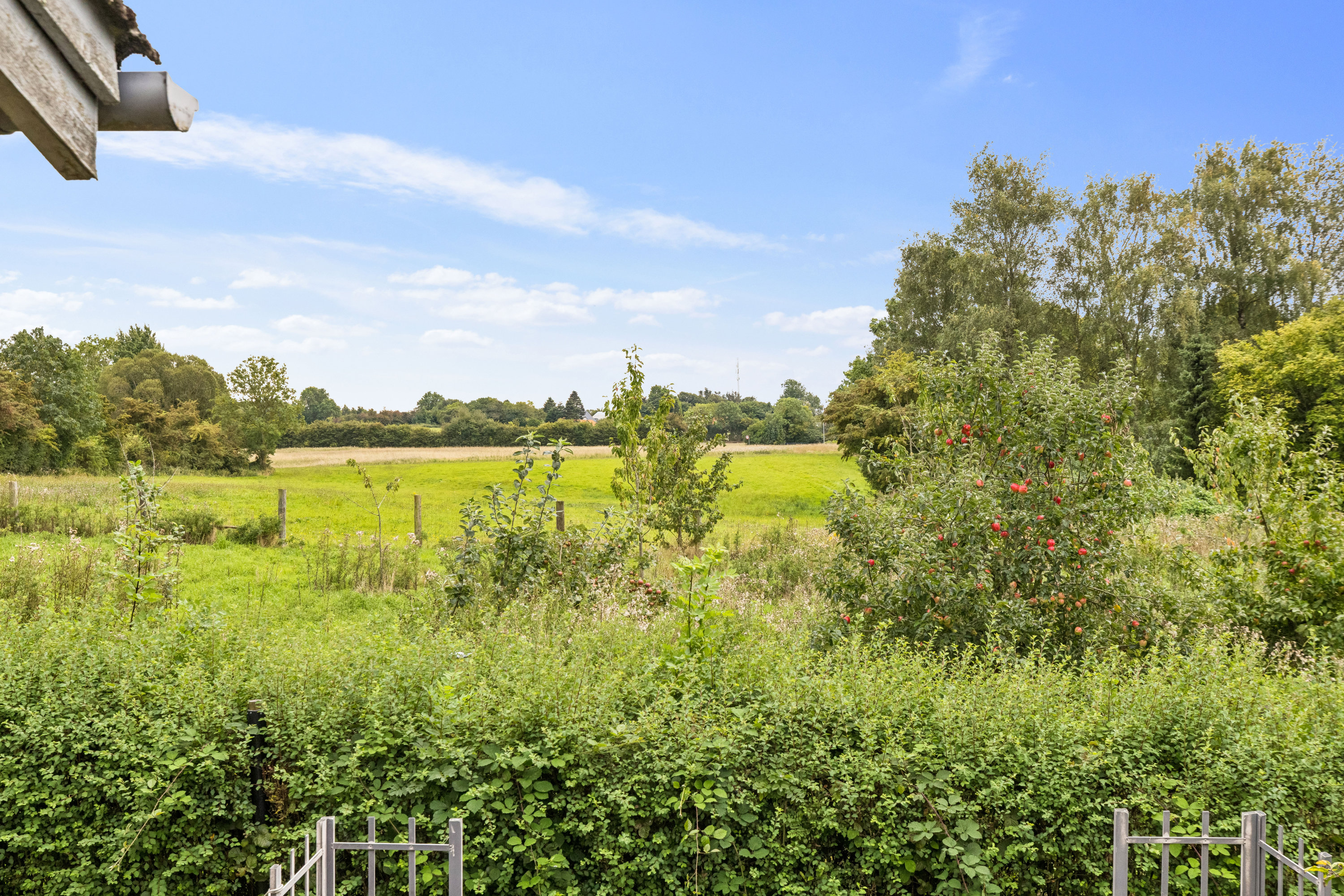 Fremhævet have billede i fuldskærmstilstand. Billede af Notmark 16, 6440 Augustenborg