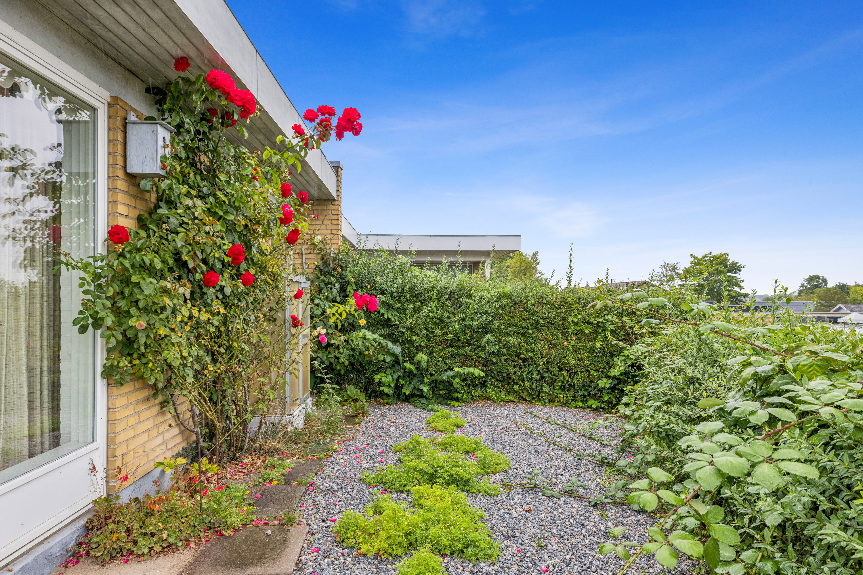 Fremhævet terrasse billede i fuldskærmstilstand. Billede af Dybbølparken 6B, Dybbøl, 6400 Sønderborg