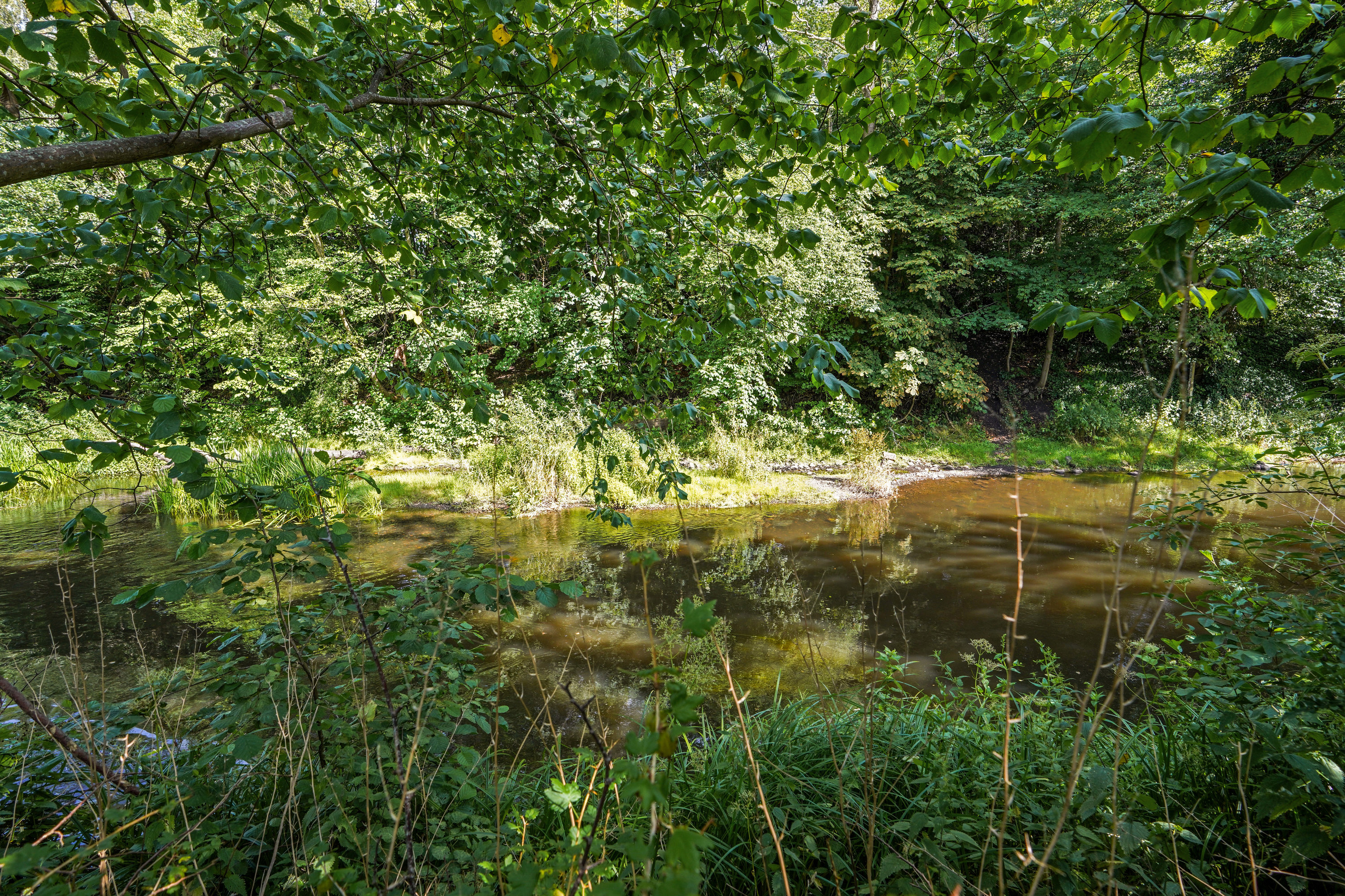 Fremhævet  billede i fuldskærmstilstand. Billede af Vandmynten 3, Dalum, 5250 Odense SV