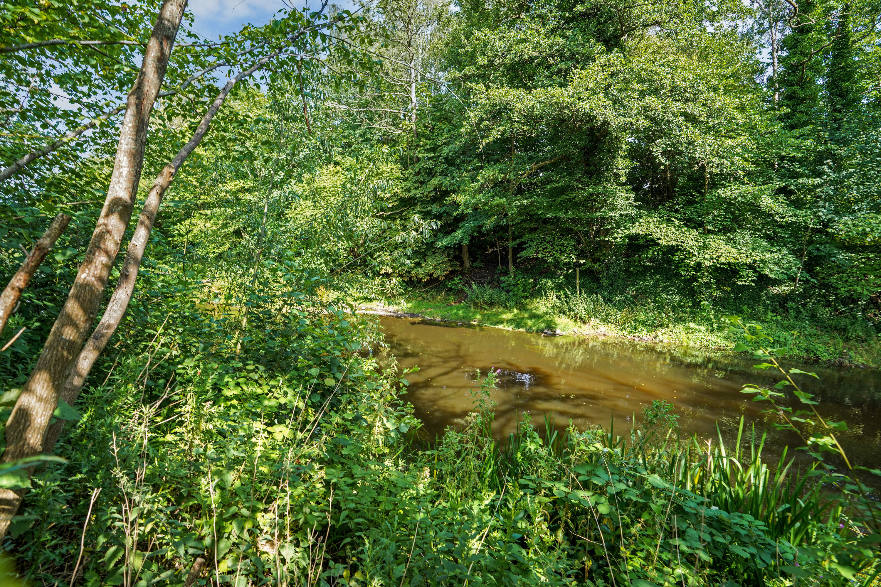 Fremhævet  billede i fuldskærmstilstand. Billede af Vandmynten 3, Dalum, 5250 Odense SV