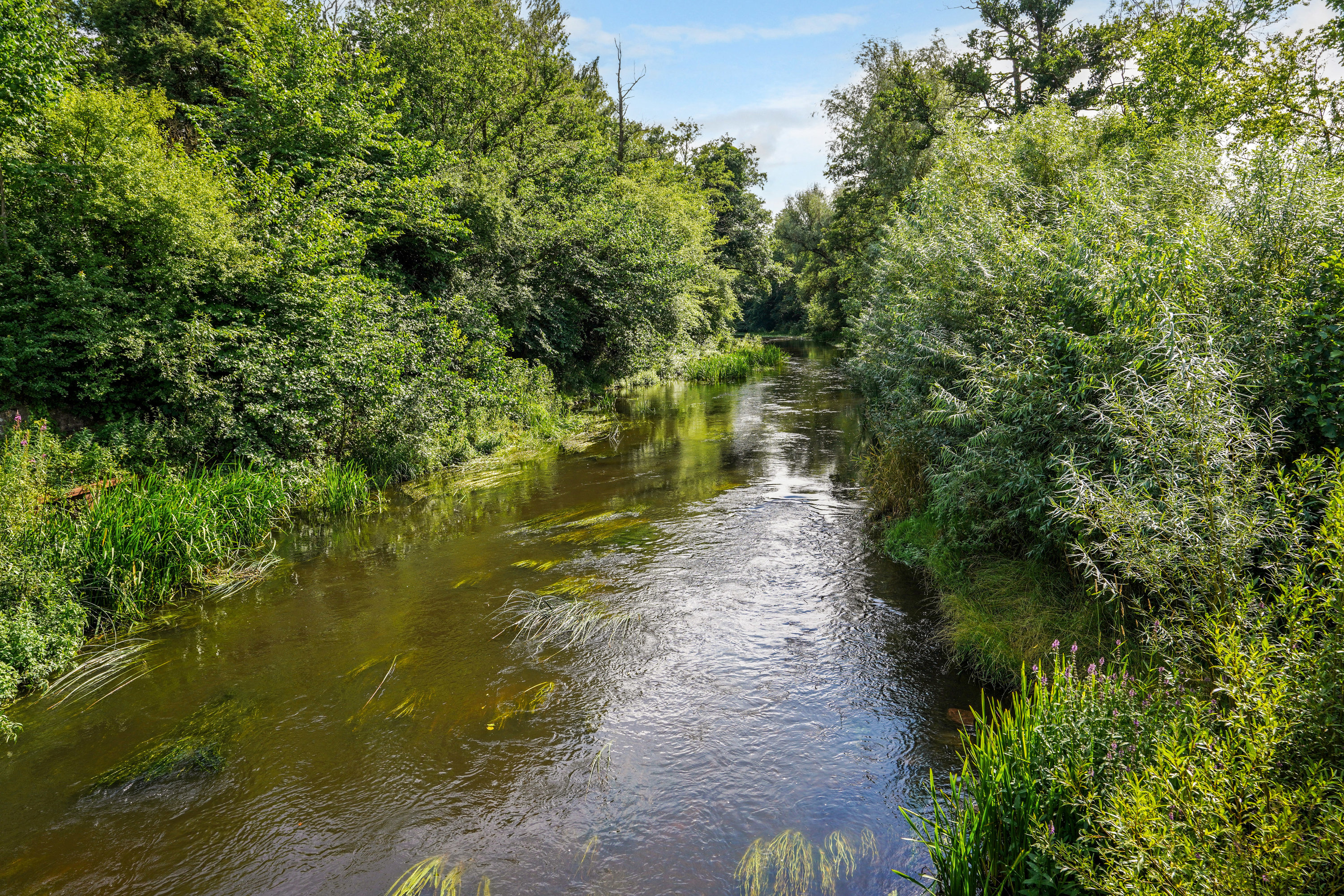 Fremhævet  billede i fuldskærmstilstand. Billede af Vandmynten 3, Dalum, 5250 Odense SV