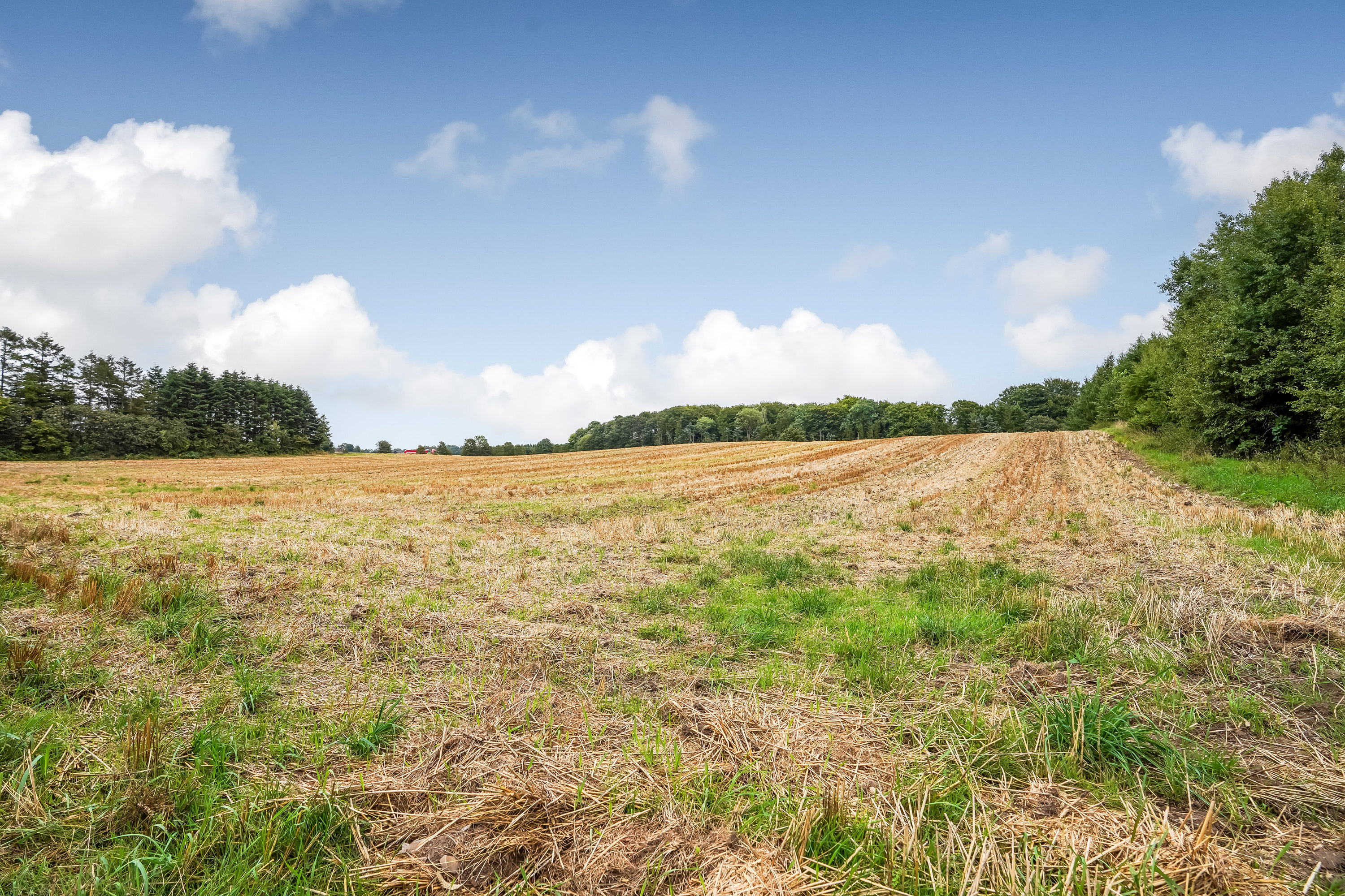 Fremhævet område billede i fuldskærmstilstand. Billede af Fruens Vej 6, 8763 Rask Mølle